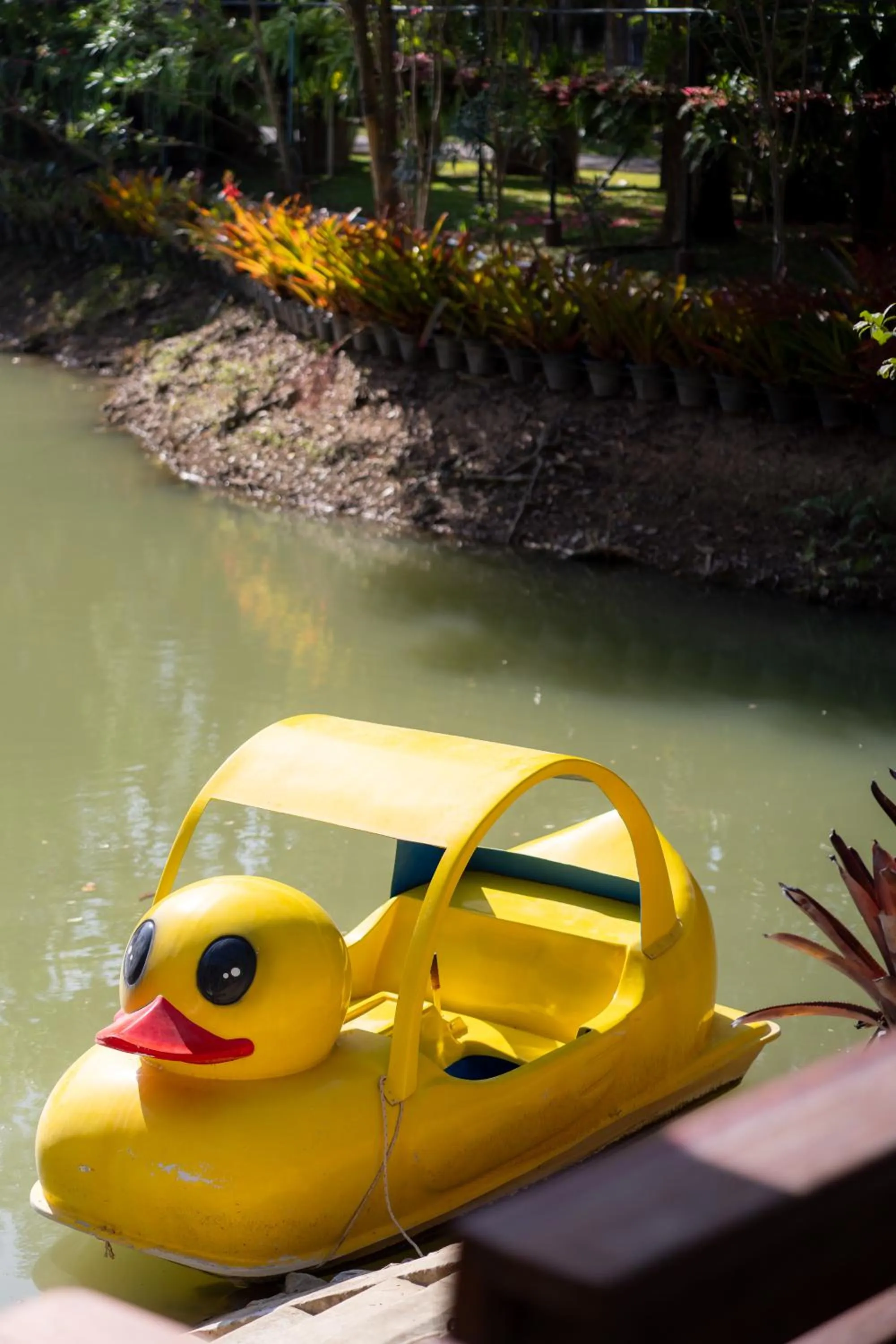 Area and facilities in Thara Dara Khaoyai