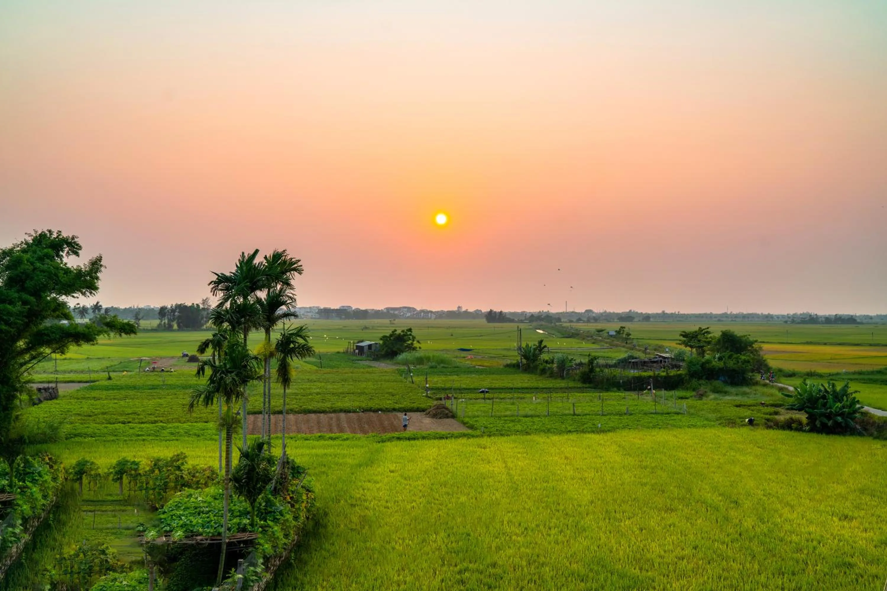 Natural landscape in Sam Retreat Hoi An Villa - Peaceful Rice-Field Retreat, 10 Minutes to Hoi An Old Town