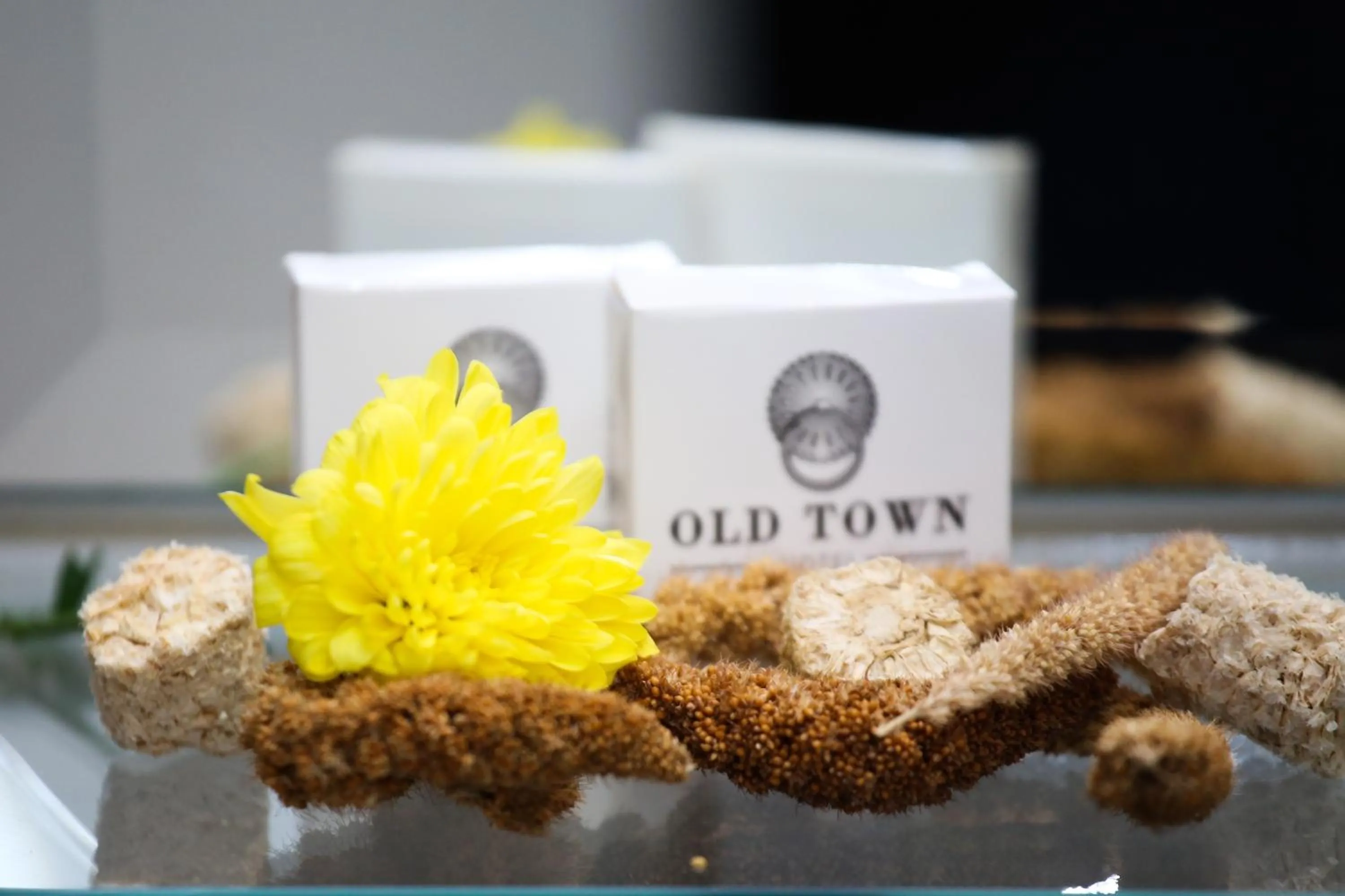 Decorative detail in Old Town Hotel