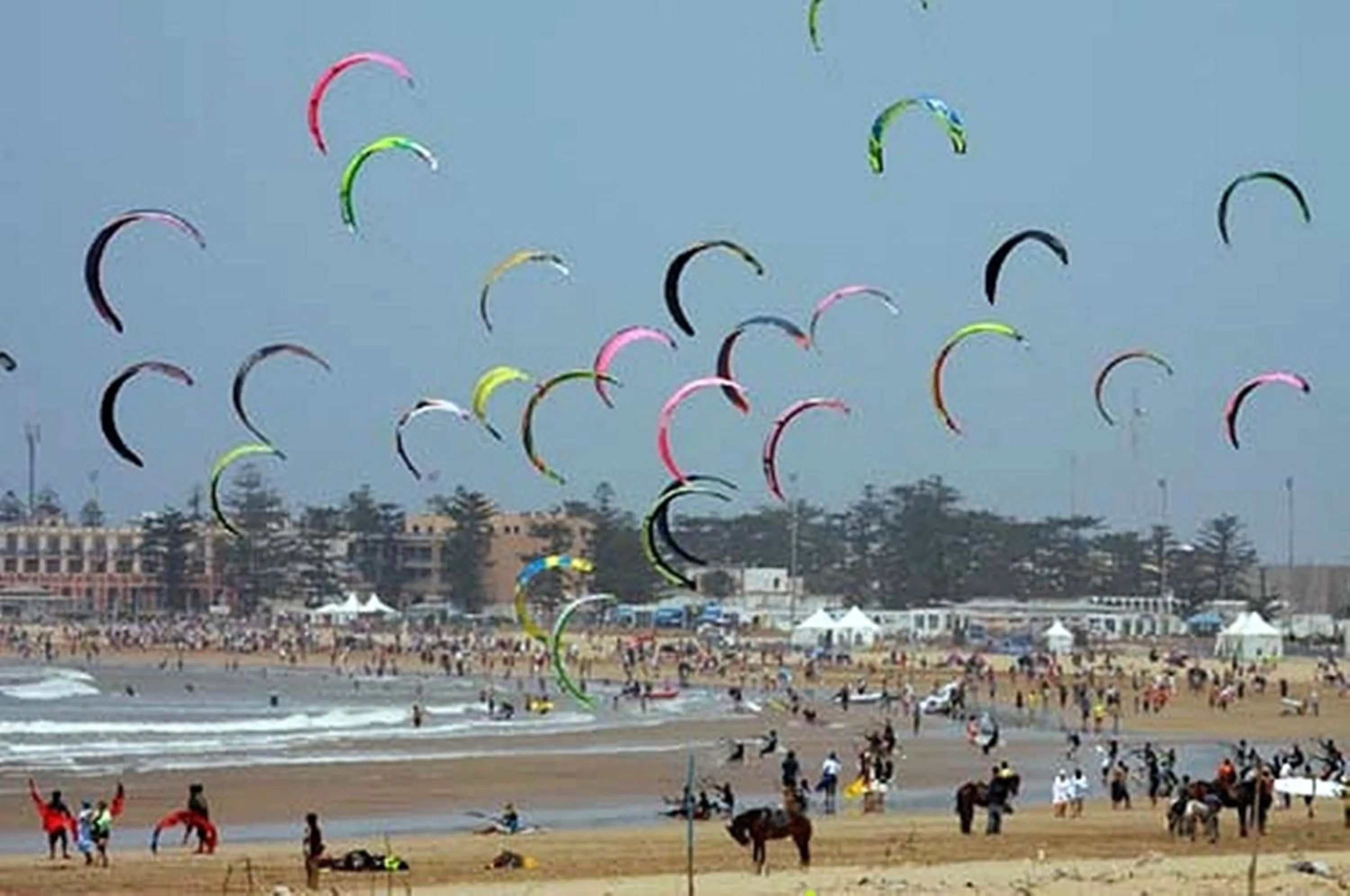 Entertainment in Riad Maison Du Sud