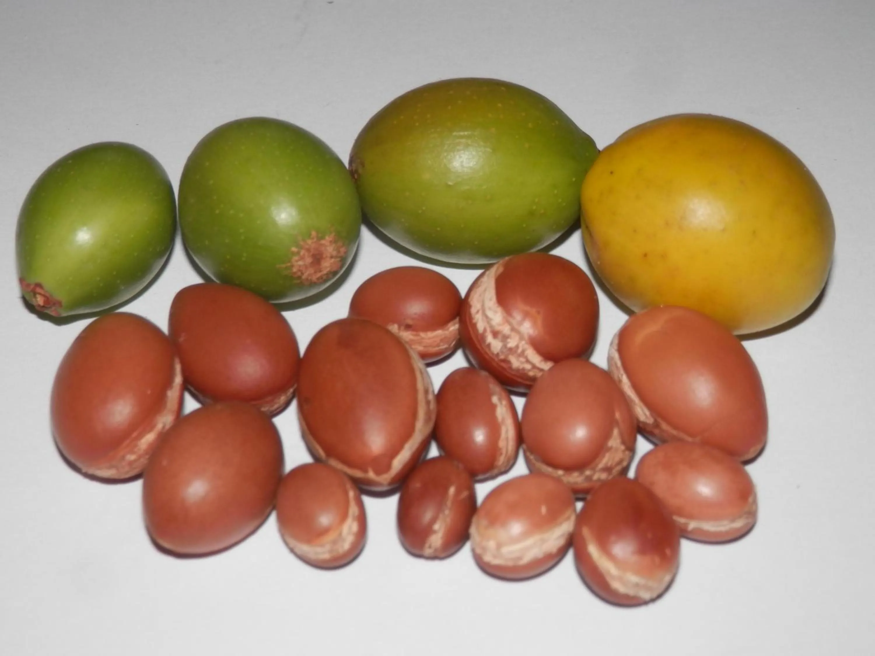 Food in Riad Maison Du Sud