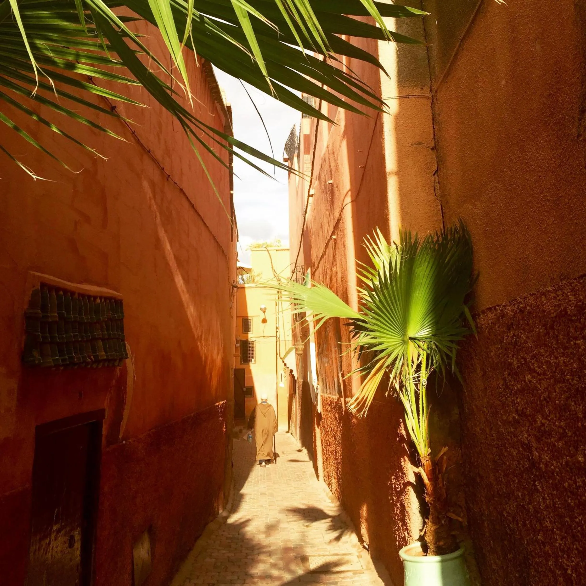 Property building in Riyad El Cadi