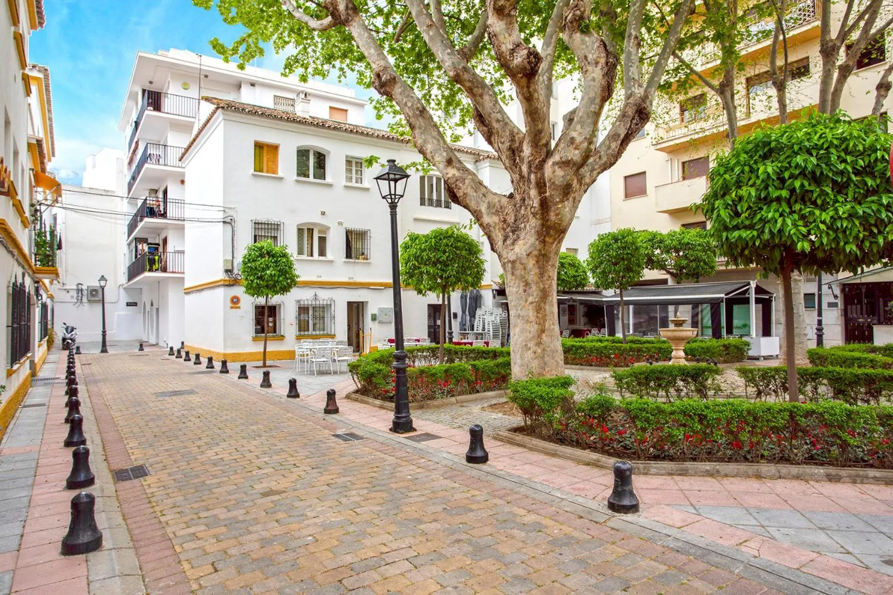 Property building in Rosa Marbella