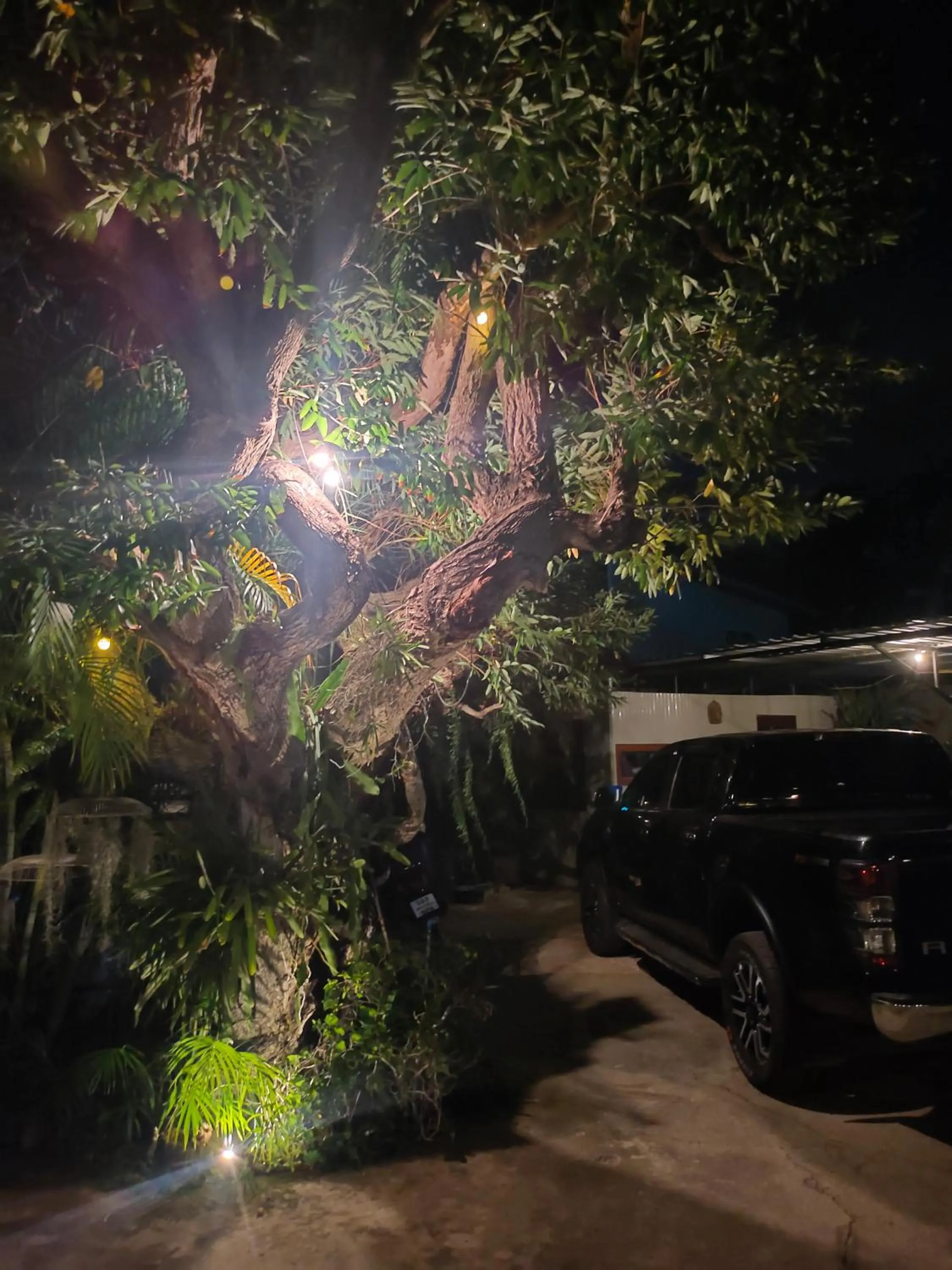 ห้องพักนครราชสีมา The Rich Room