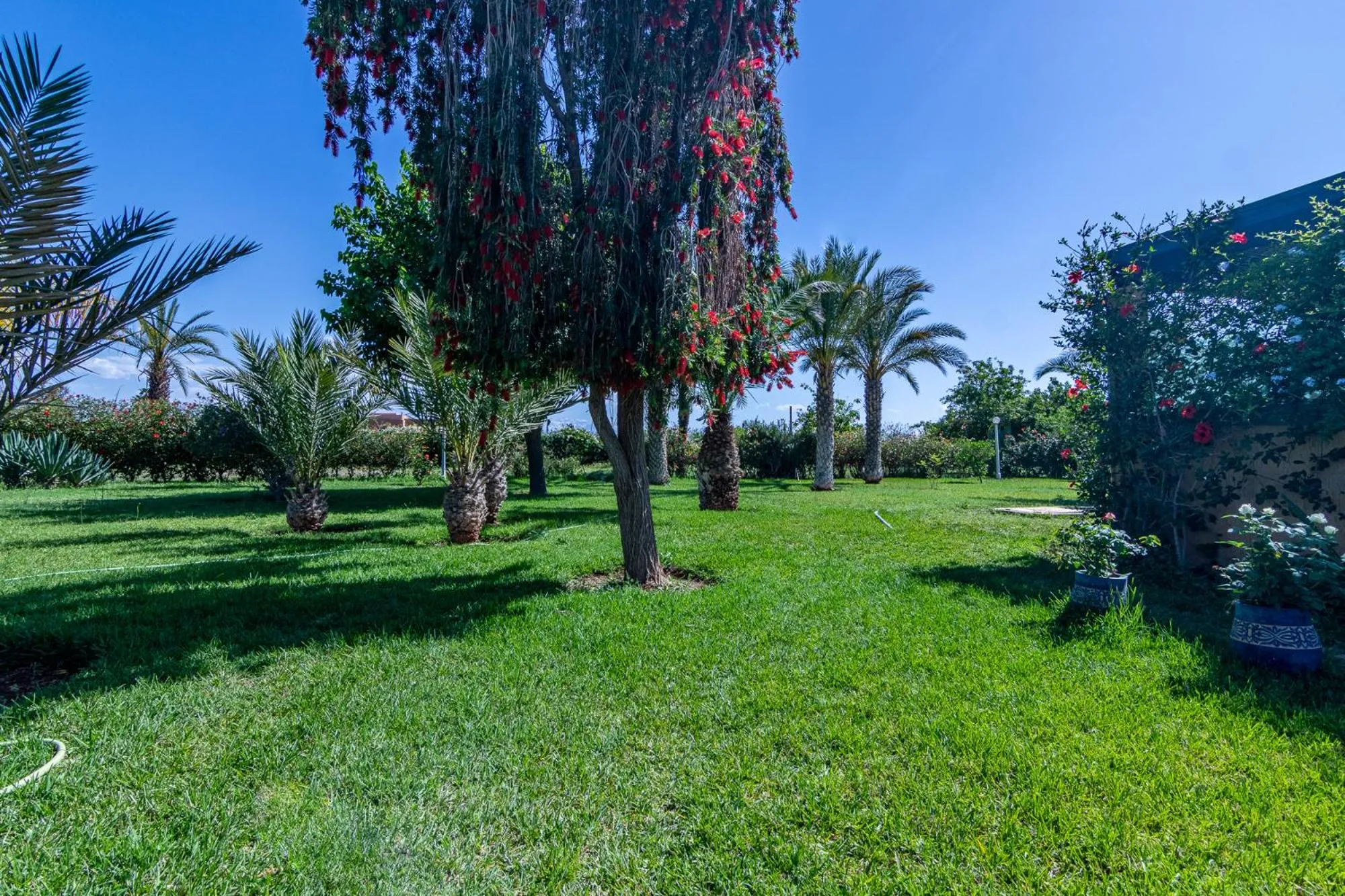 Garden in Palais les sources de l'atlas, Padel & spa