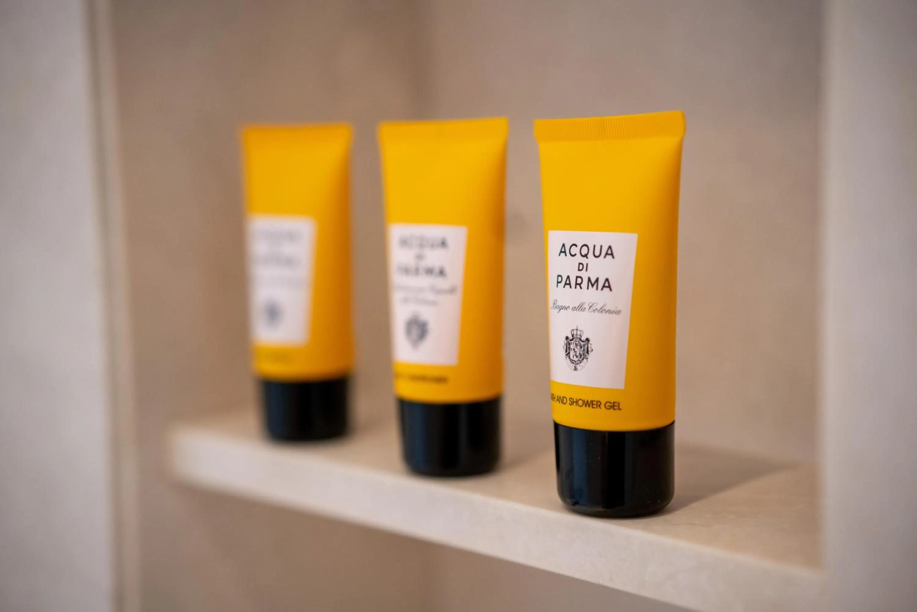 The Grand Mansion Hotel,Nanjing