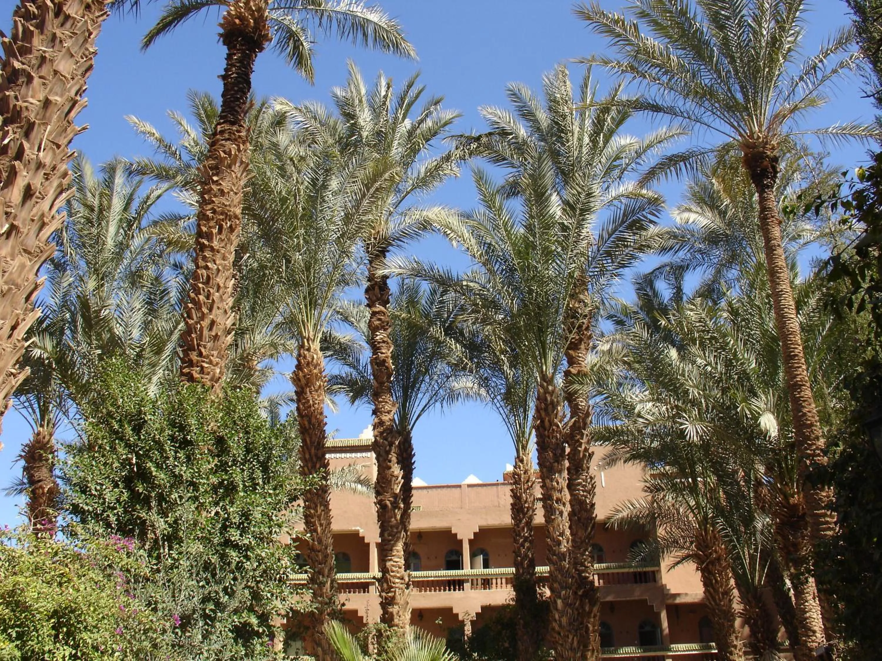 Natural landscape in Kasbah Sirocco