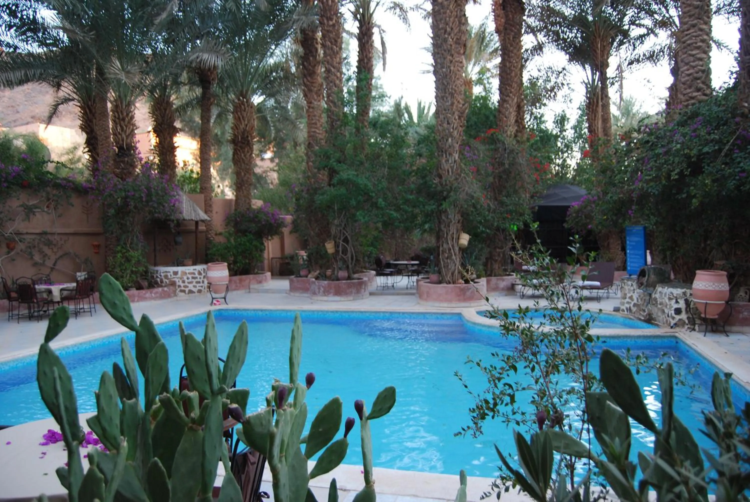 Swimming pool in Kasbah Sirocco