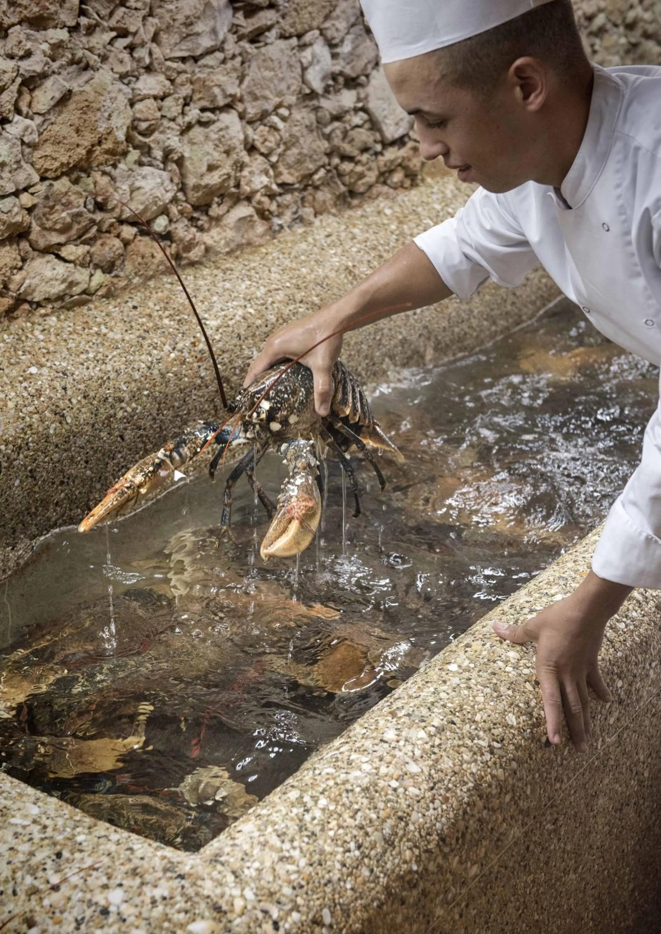 Food and drinks in La Sultana Oualidia