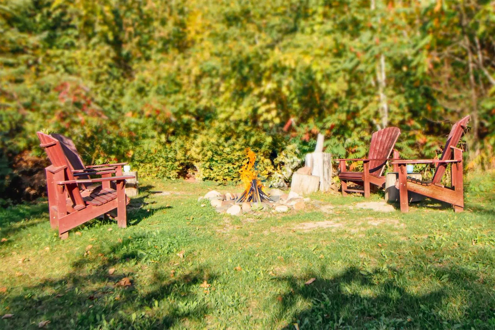 Spacious Leech Lake Home on 2 Private Acres, 200' of lake shore 15 Minutes to Walker with boat lift, dock, swimming, fire pit