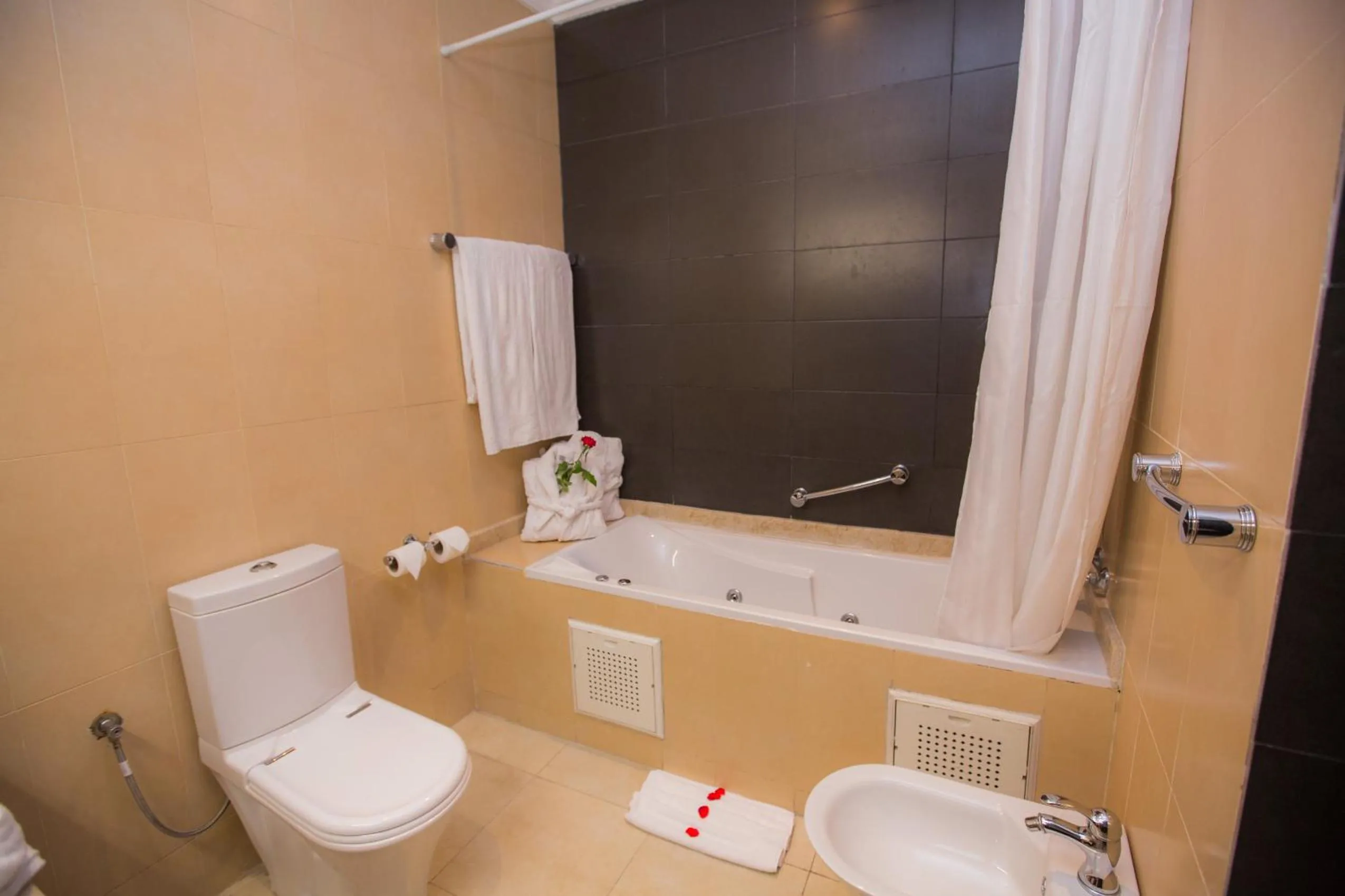 Toilet in Hôtel Des Iles