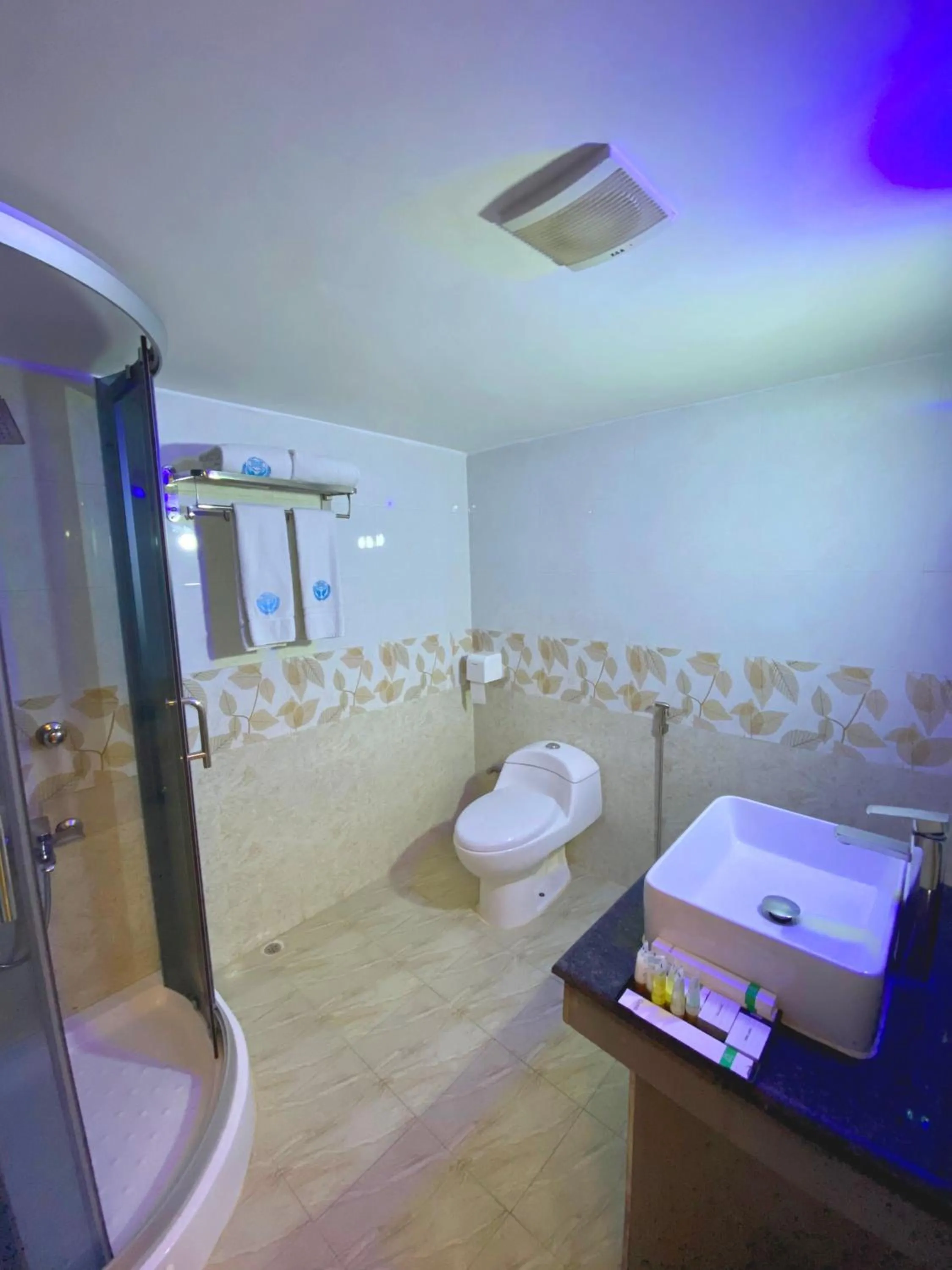 Toilet in CCULB Resort & Convention Hall