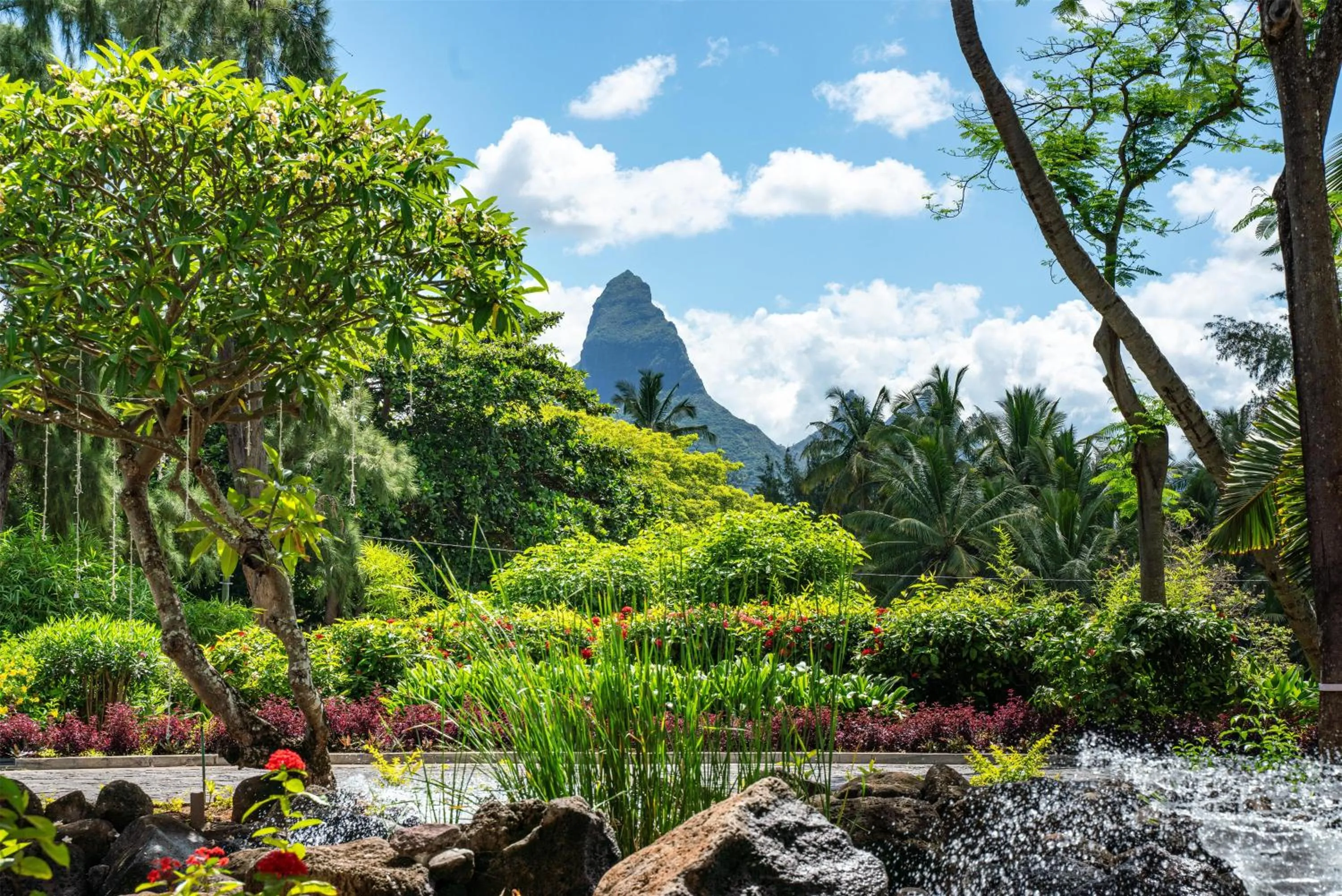 Garden in Hilton Mauritius Resort & Spa