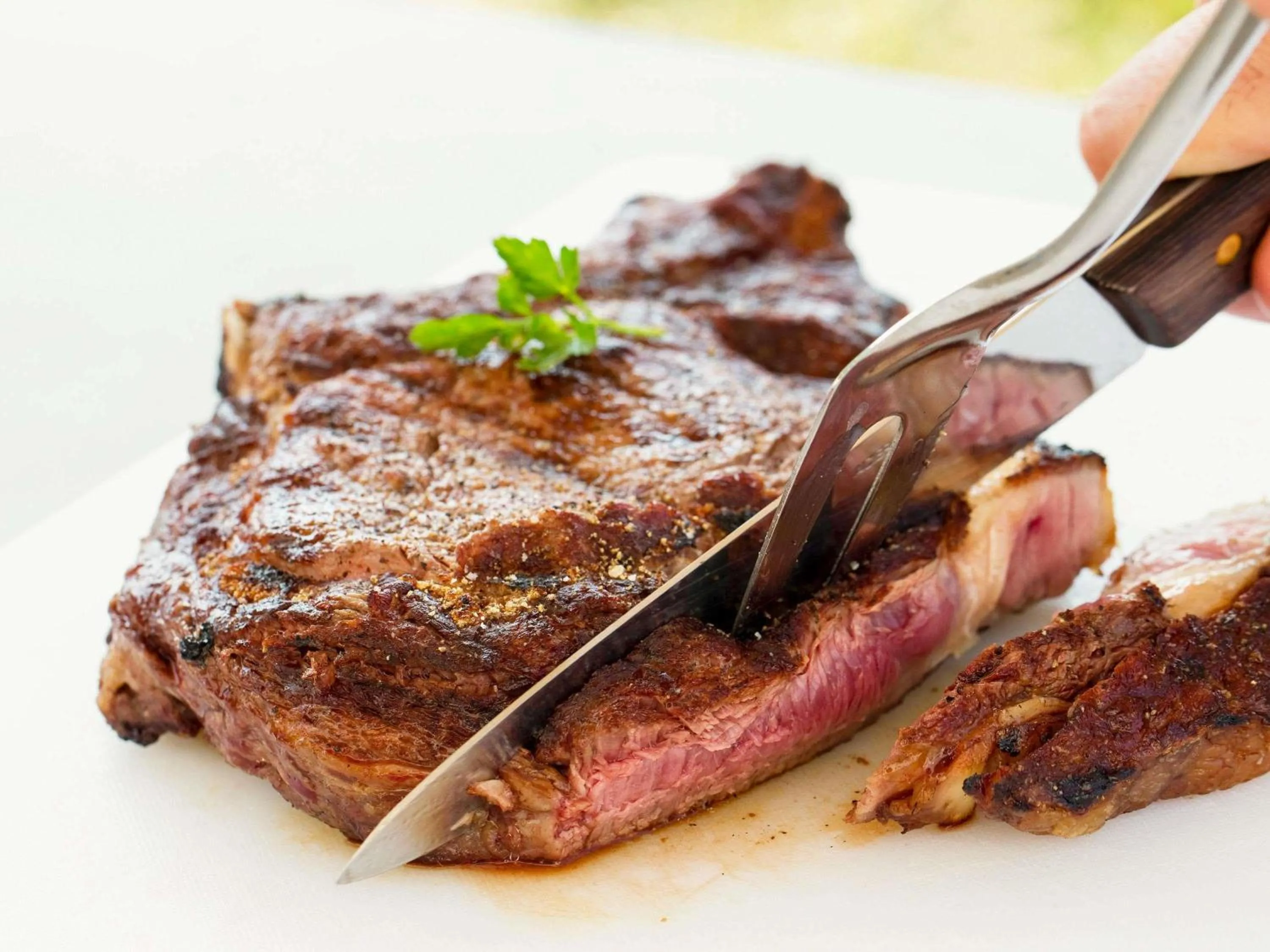 Restaurant/places to eat in Ibis Oujda