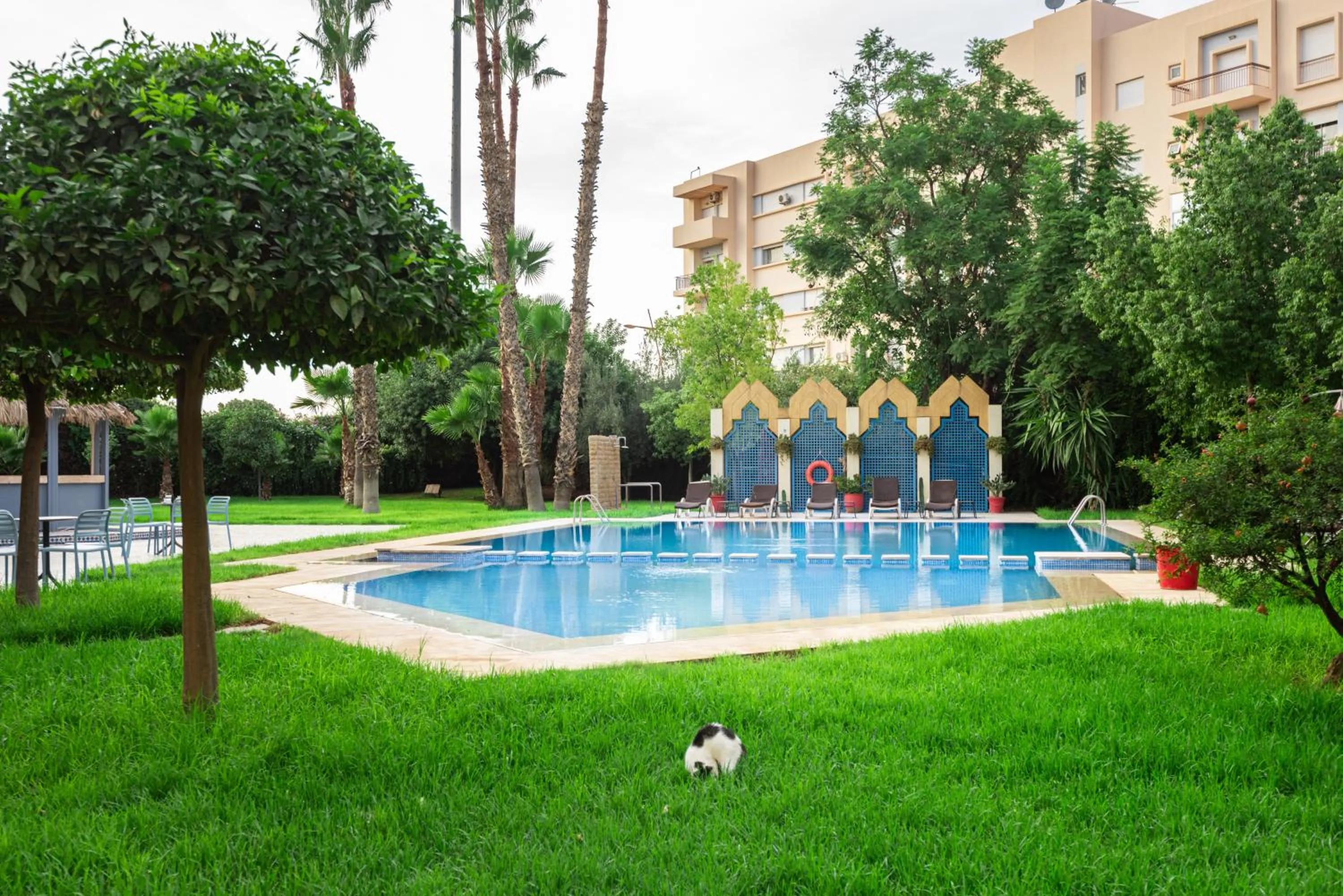 Swimming pool in Ibis Oujda