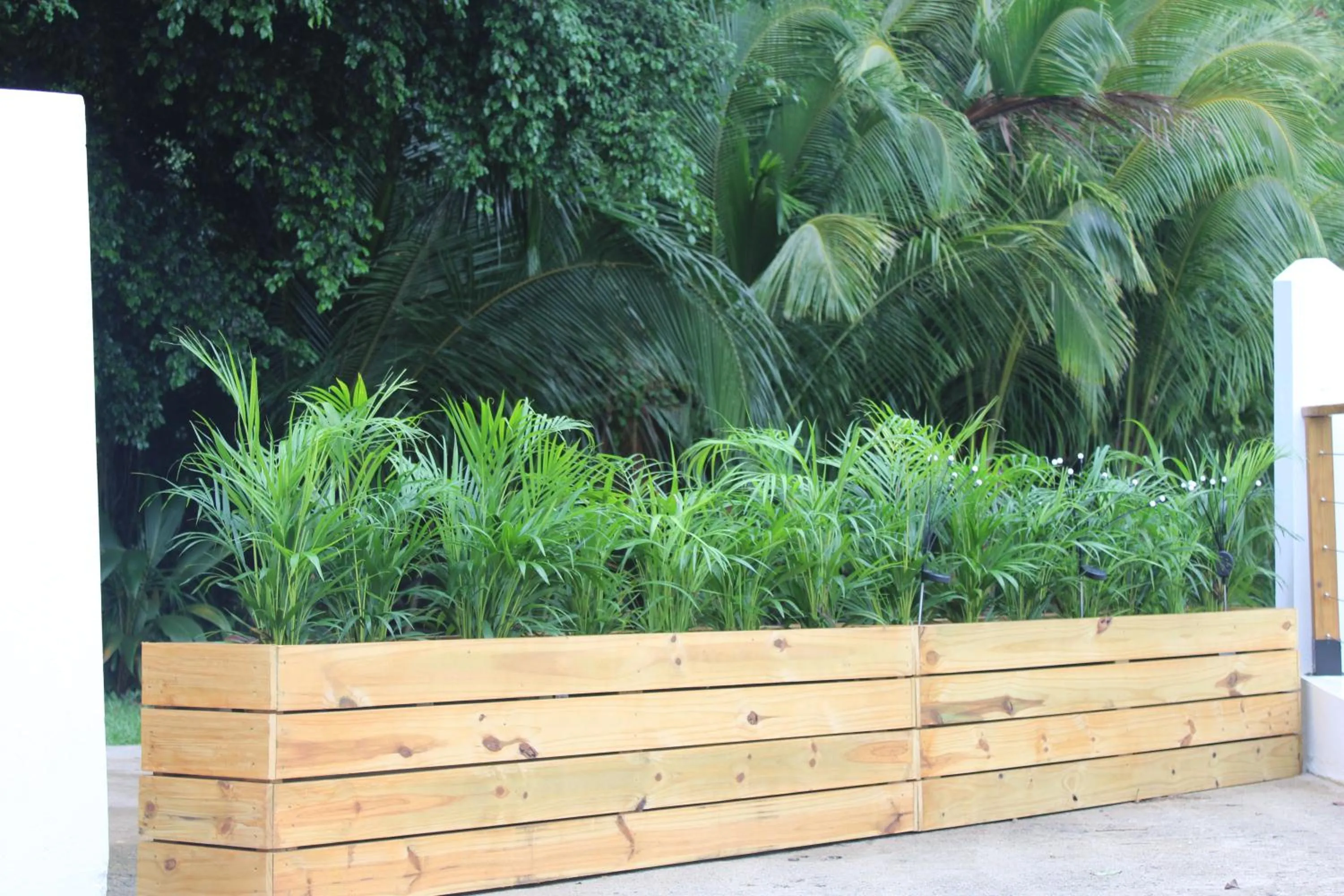 Day in The Serene House Bed & Breakfast