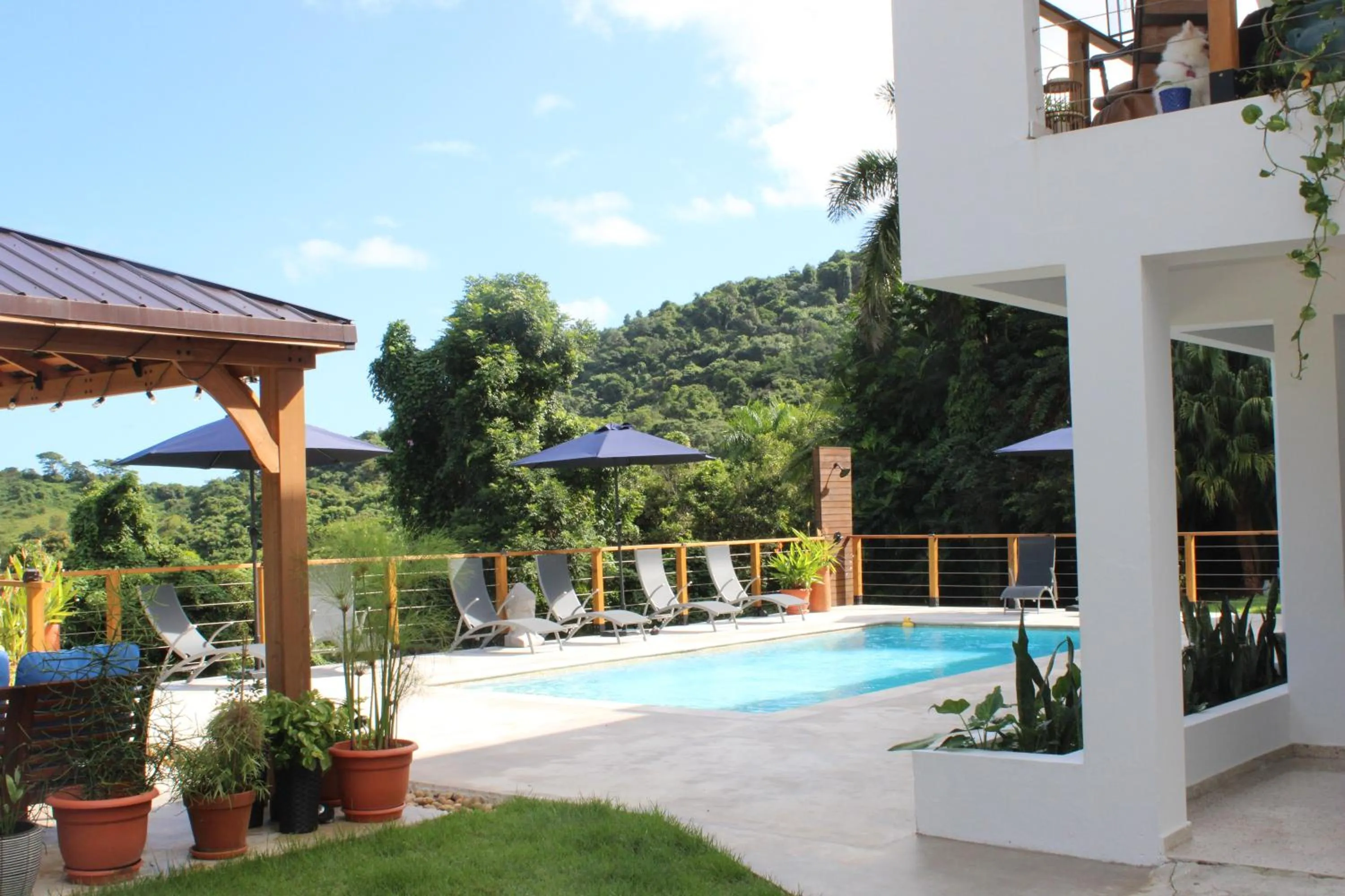 Patio in The Serene House Bed & Breakfast