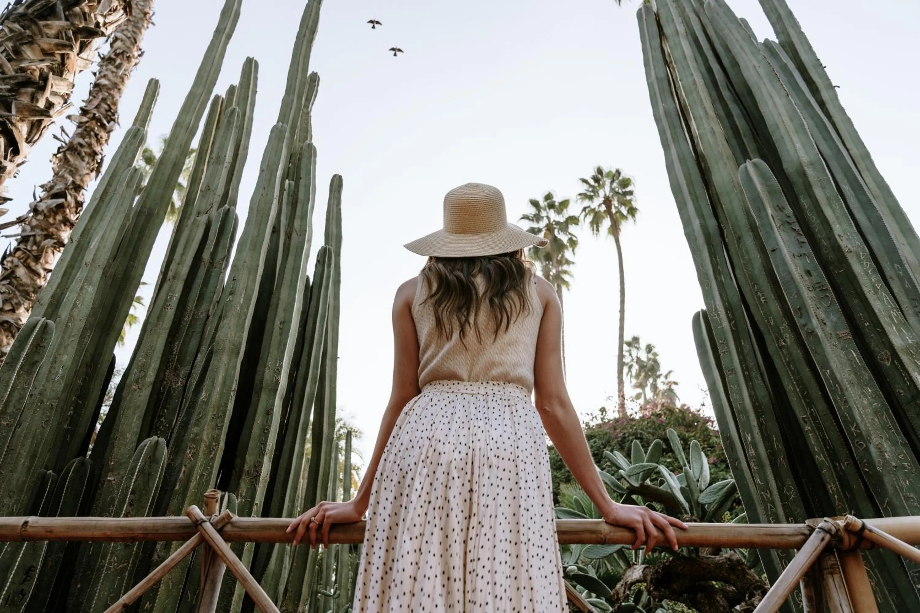 Entertainment in Ibis Marrakech Palmeraie