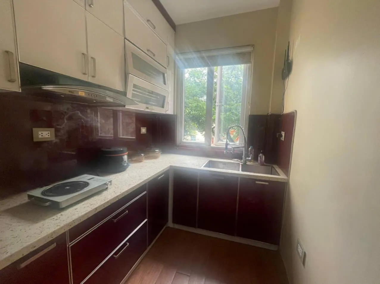 Ba Dinh Le rêveur Homestay