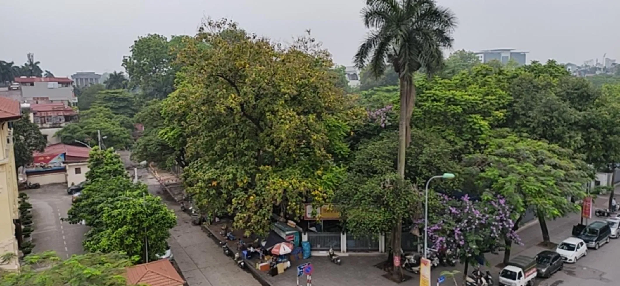 Ba Dinh Le rêveur Homestay