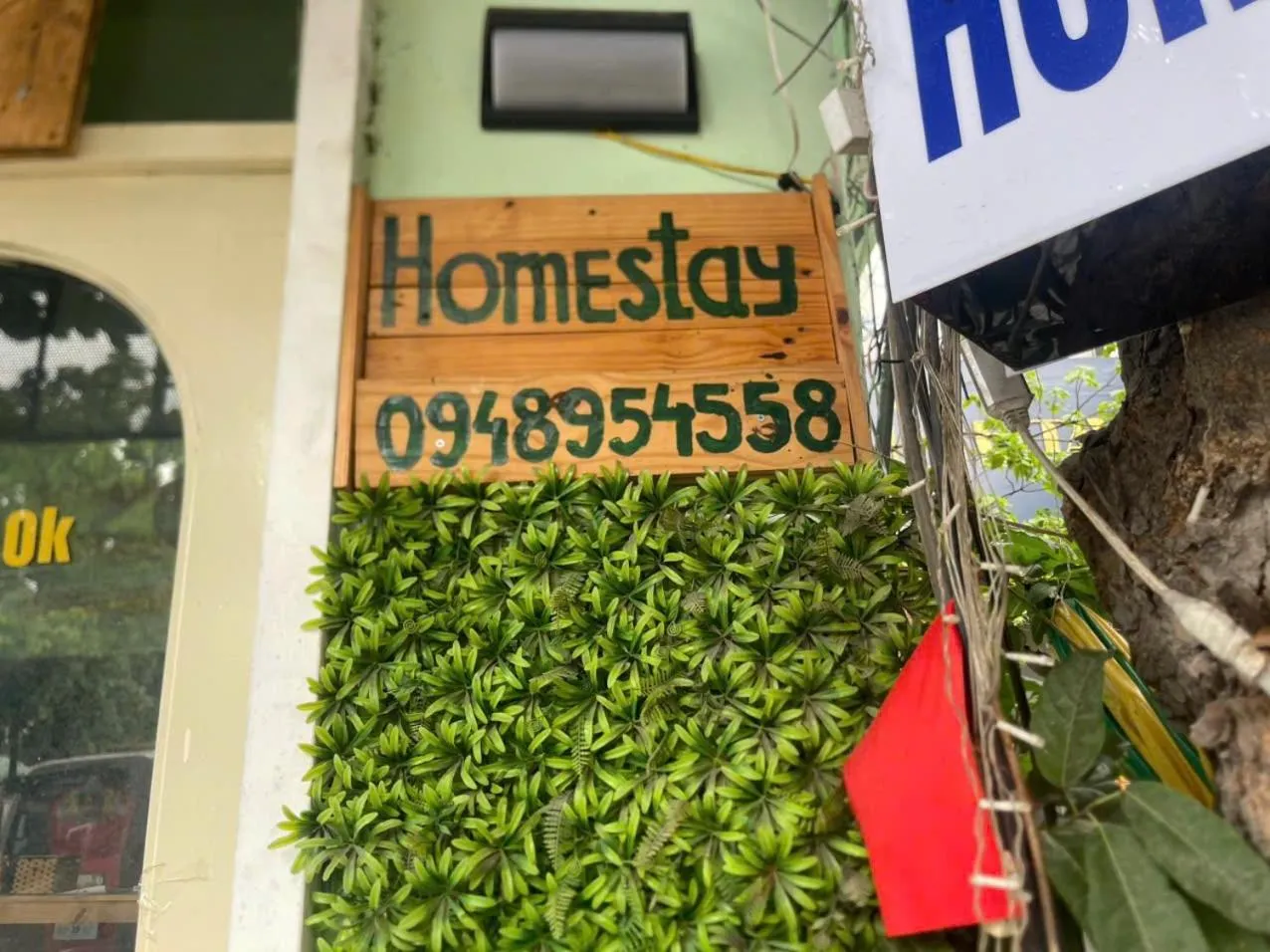 Ba Dinh Le rêveur Homestay