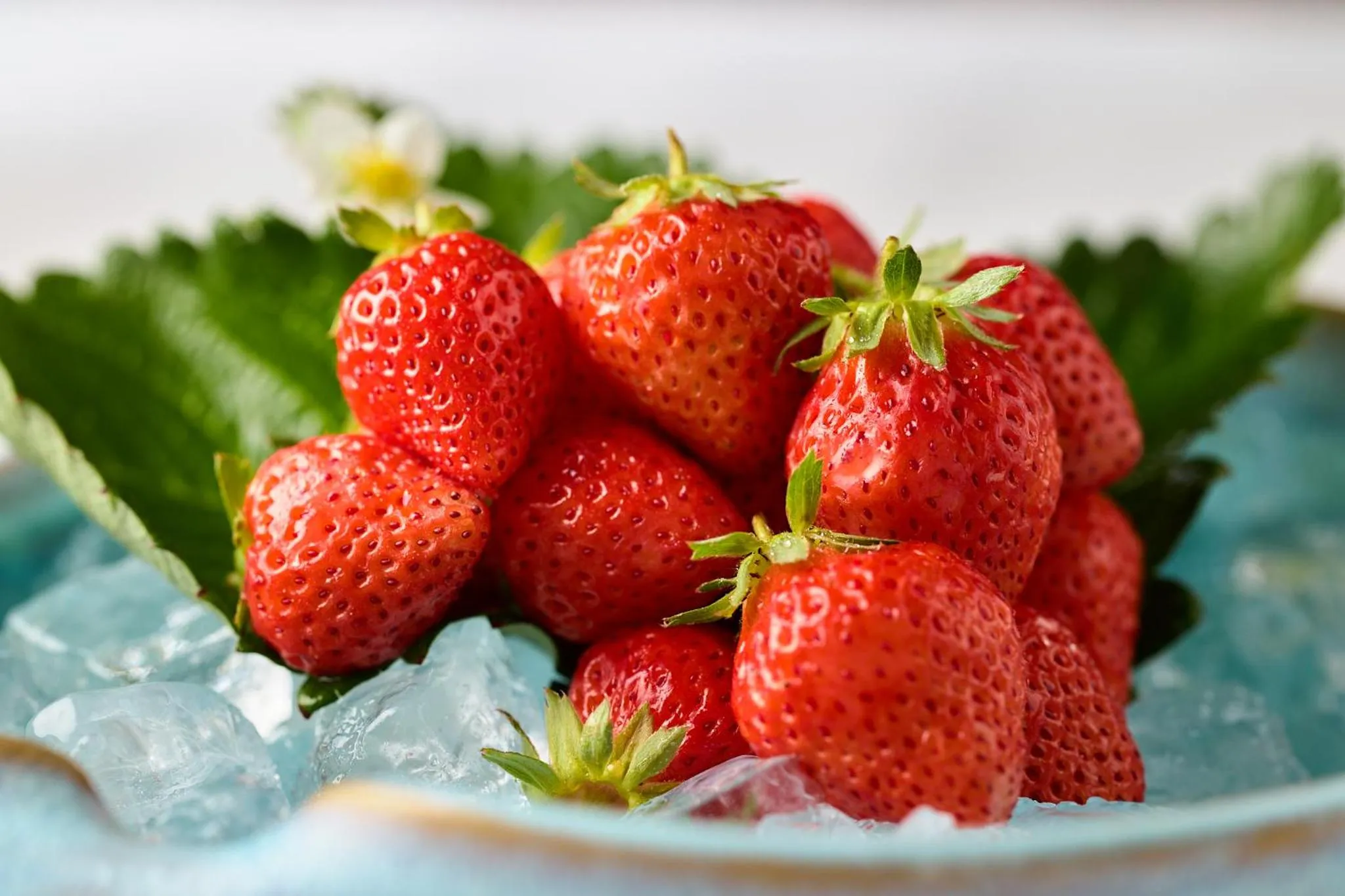 Yumura Onsen MIDORIYA