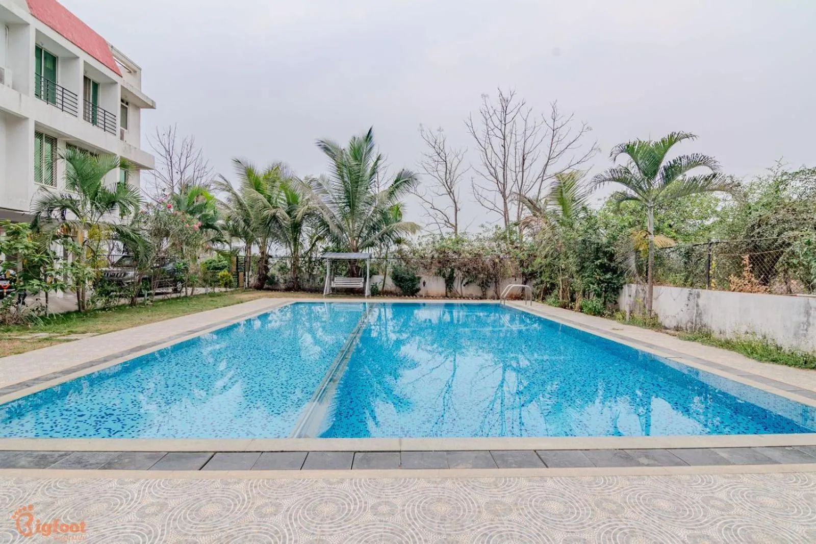 Day in THE BLISS PALM