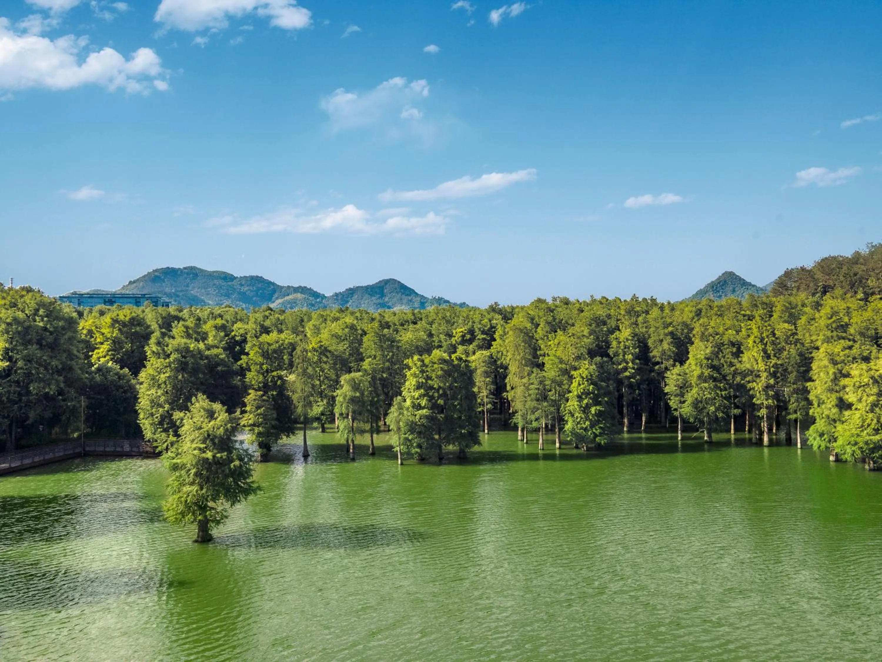 Nearby landmark in Qingshan Lake Tianlan Hotel Hangzhou