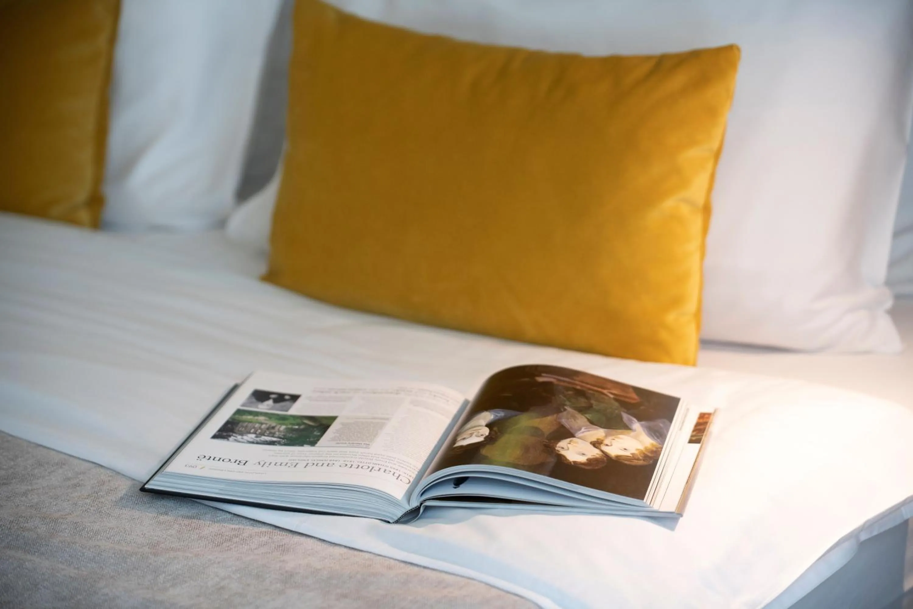 Decorative detail, Bed in Mercure Belgrade Excelsior