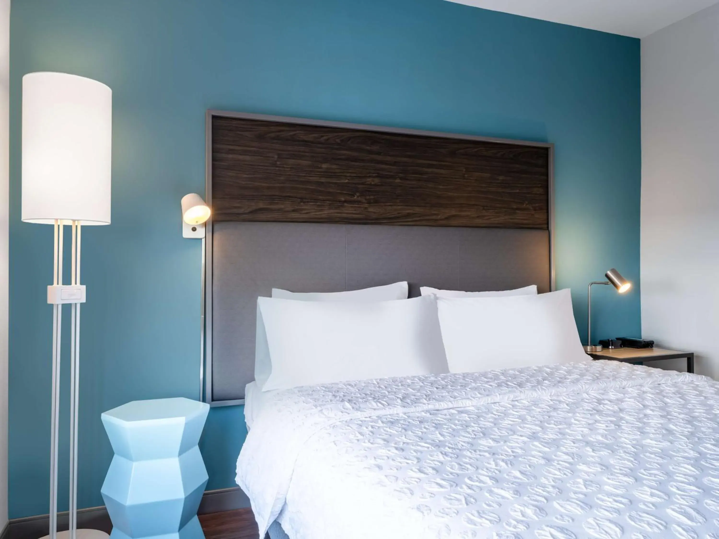 King Room with Walk-In Shower in Tru By Hilton Chesapeake- Greenbrier King Room with Walk-In Shower in Tru By Hilton Chesapeake- Greenbrier