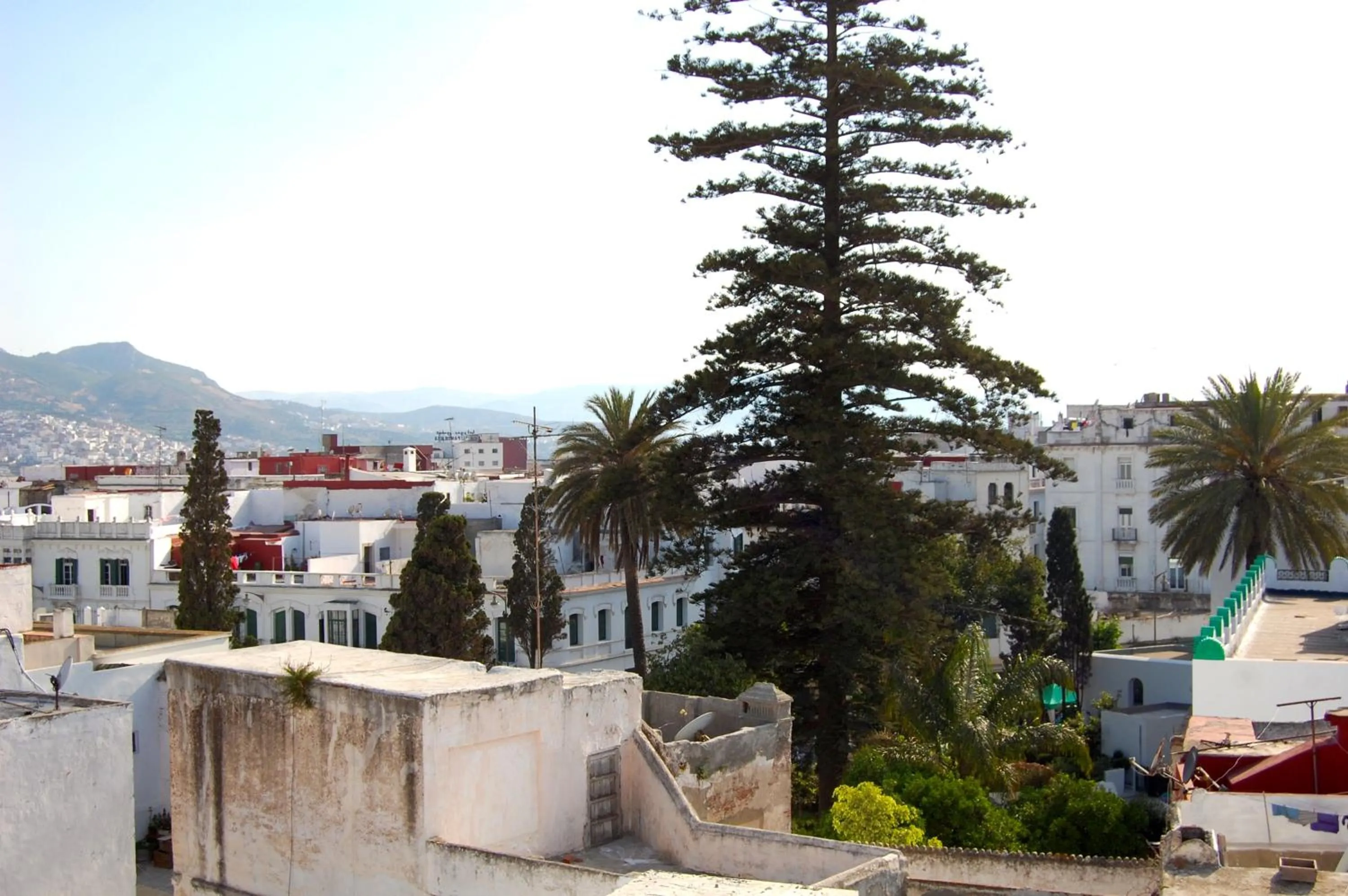 Garden in El Reducto