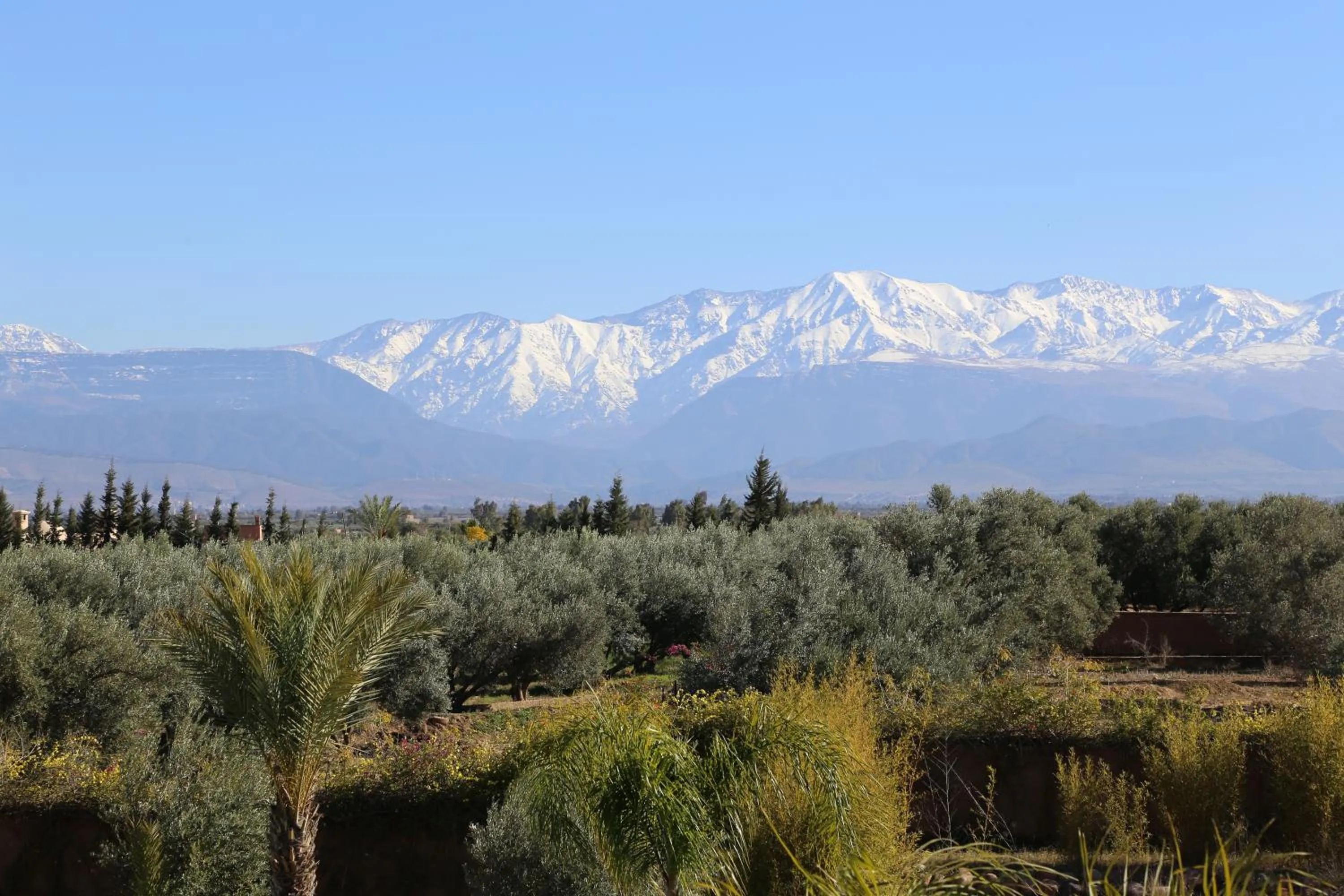 View (from property/room) in Riad Al Mendili Private Resort & Spa