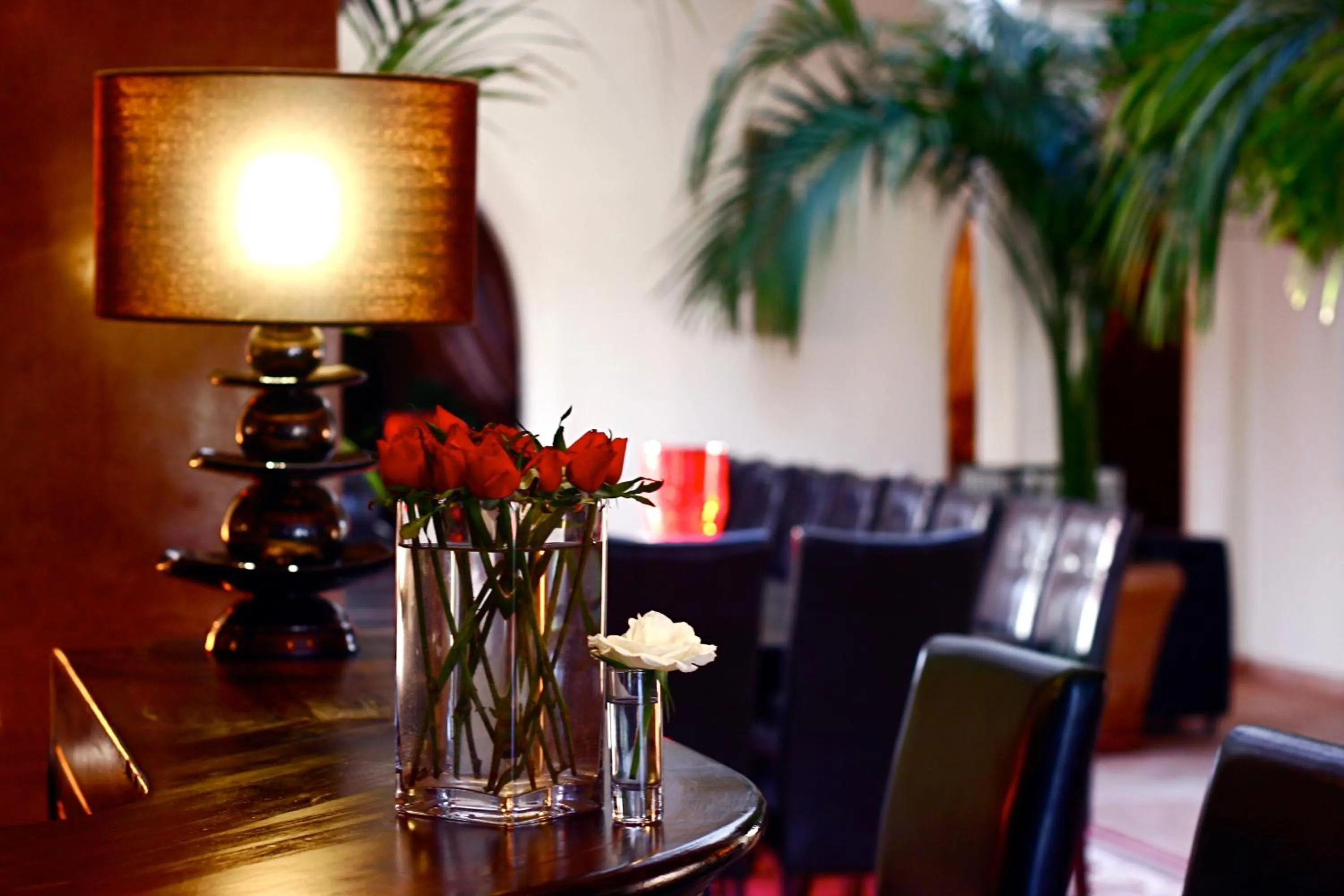 Lounge or bar in Riad Al Mendili Private Resort & Spa