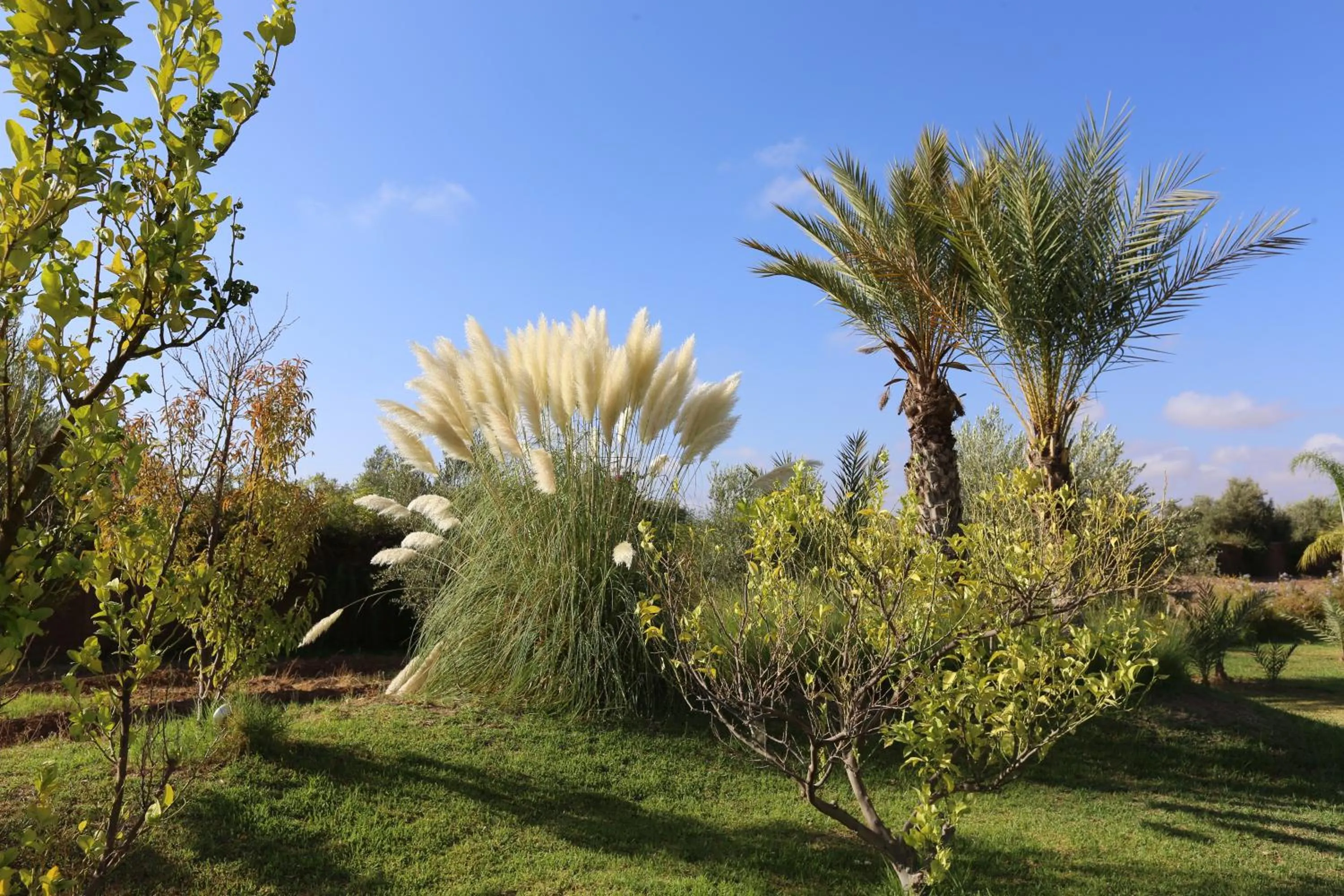 Garden in Riad Al Mendili Private Resort & Spa