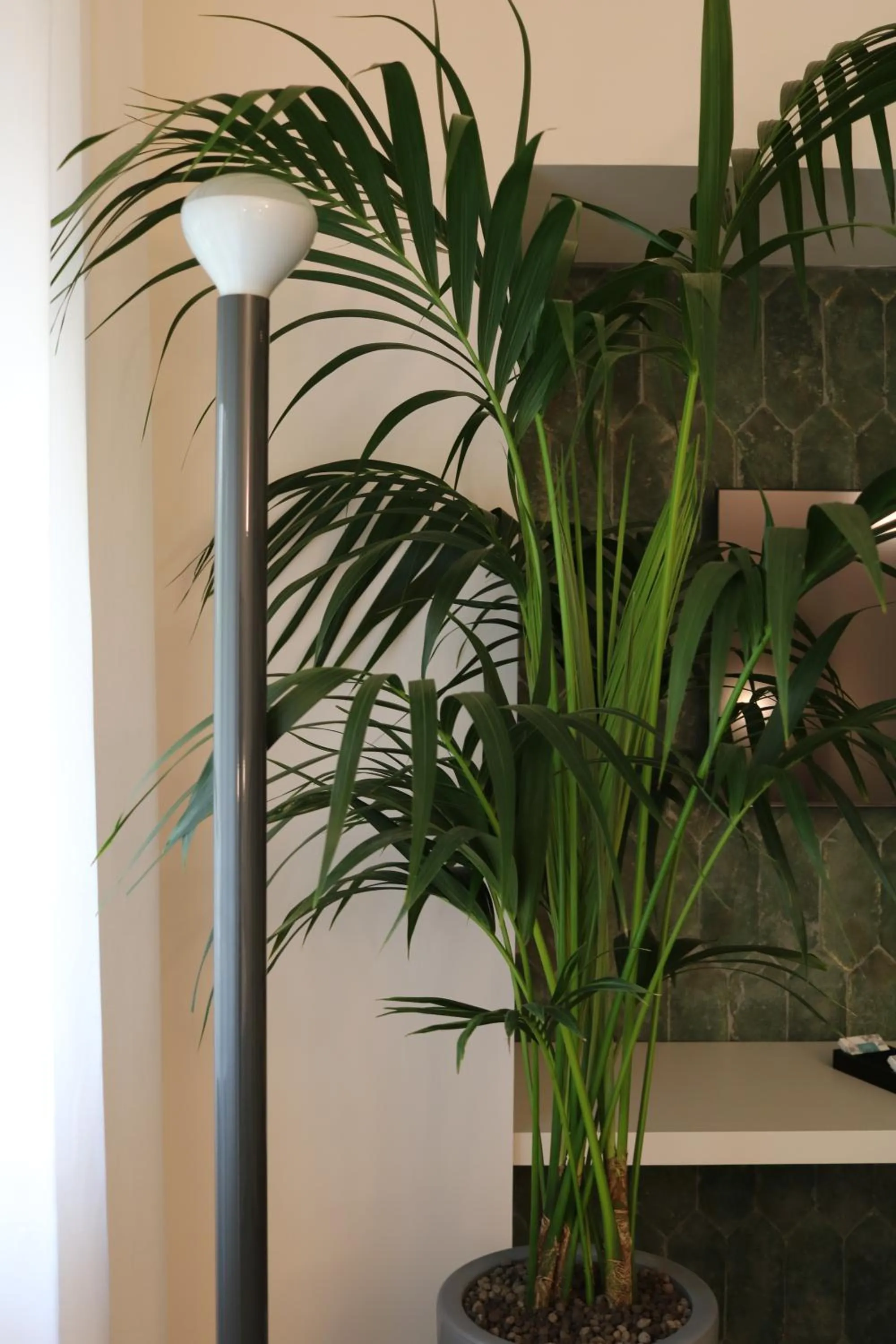 Decorative detail in Artemisia Domus - Giardino