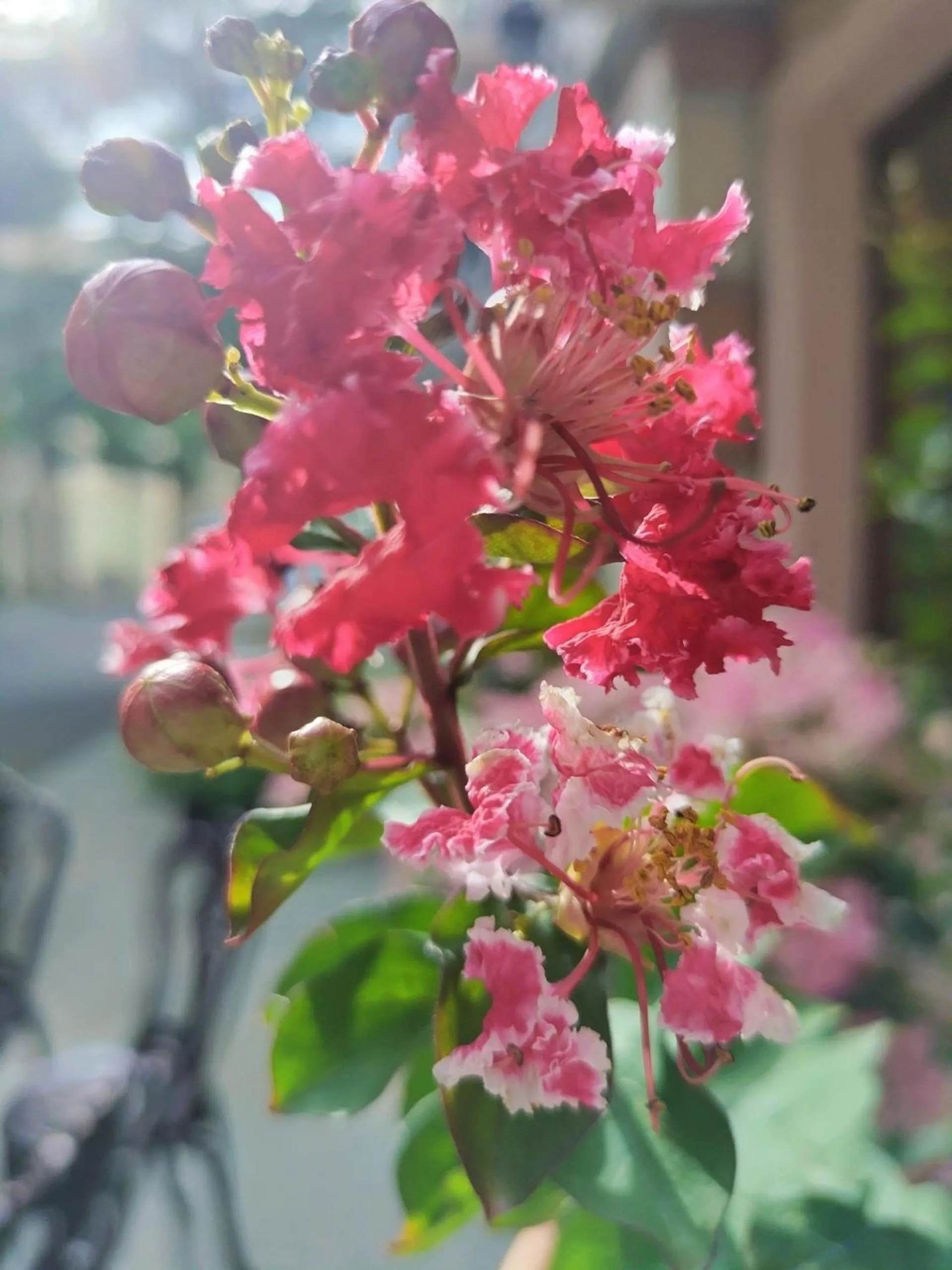 Sea Sunset Hotel Phu Quoc - Welcome to a mixing world of friends