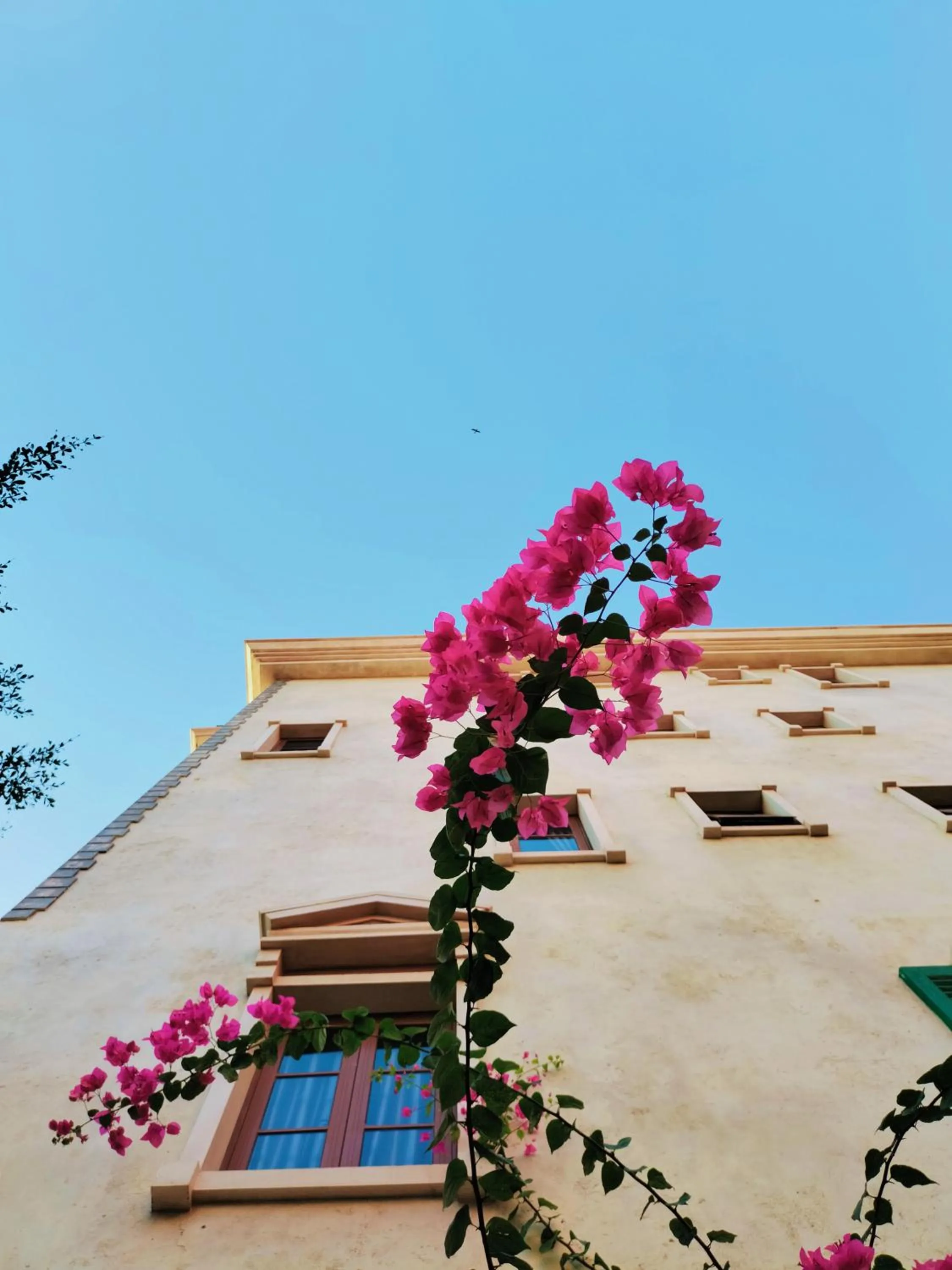 Property building in Sea Sunset Hotel Phu Quoc - Welcome to a mixing world of friends