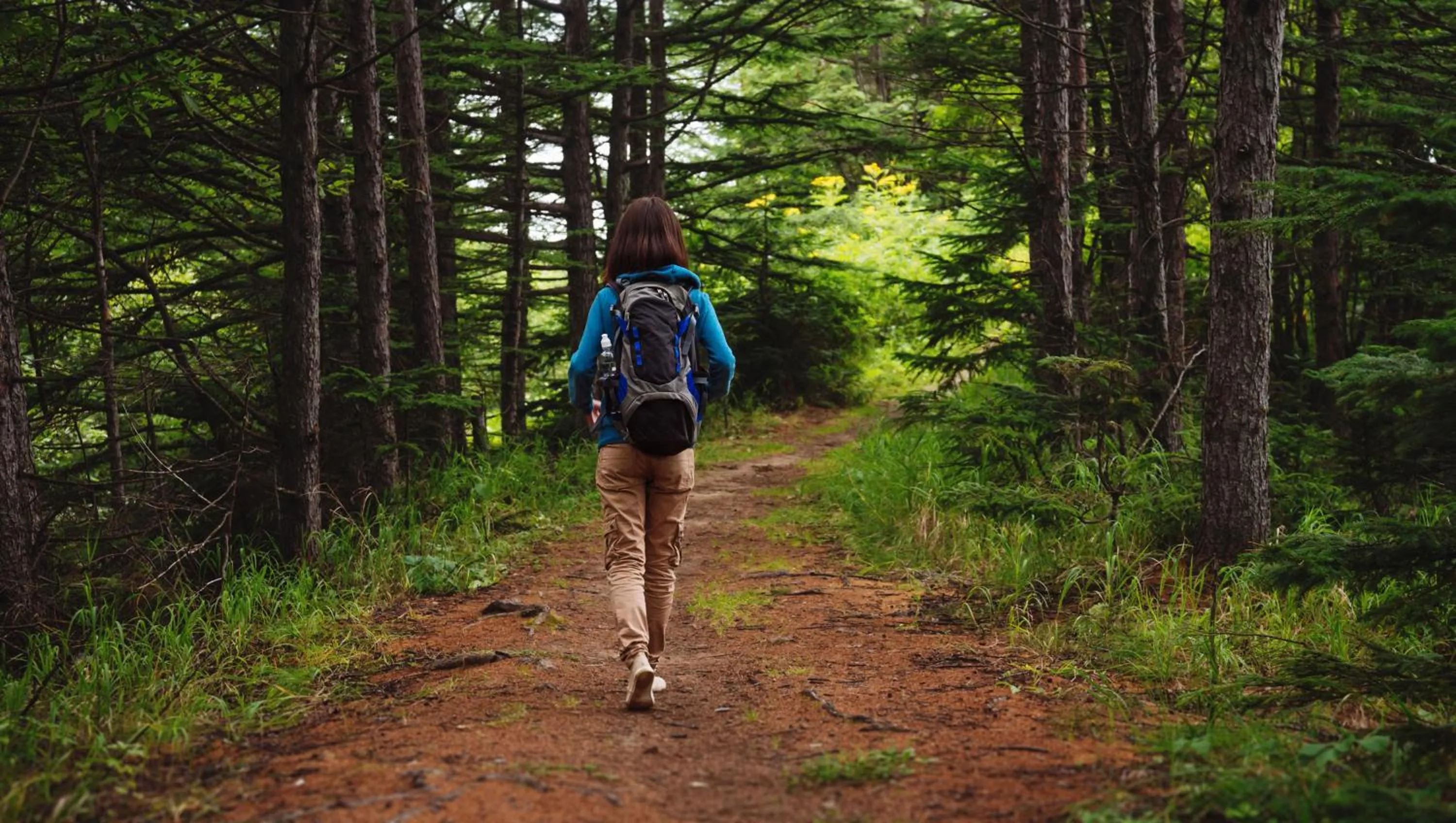 Hiking in Motel Luzerne