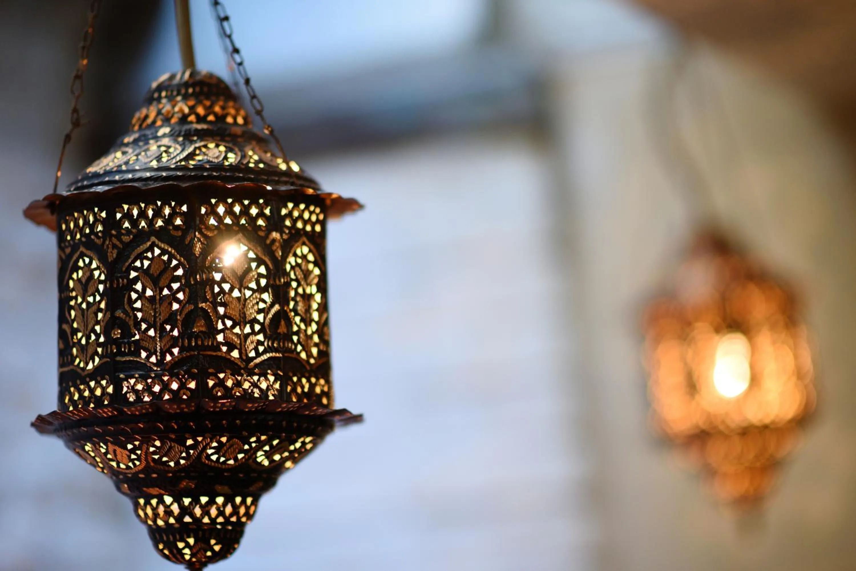 Restaurant/places to eat in Hotel Art