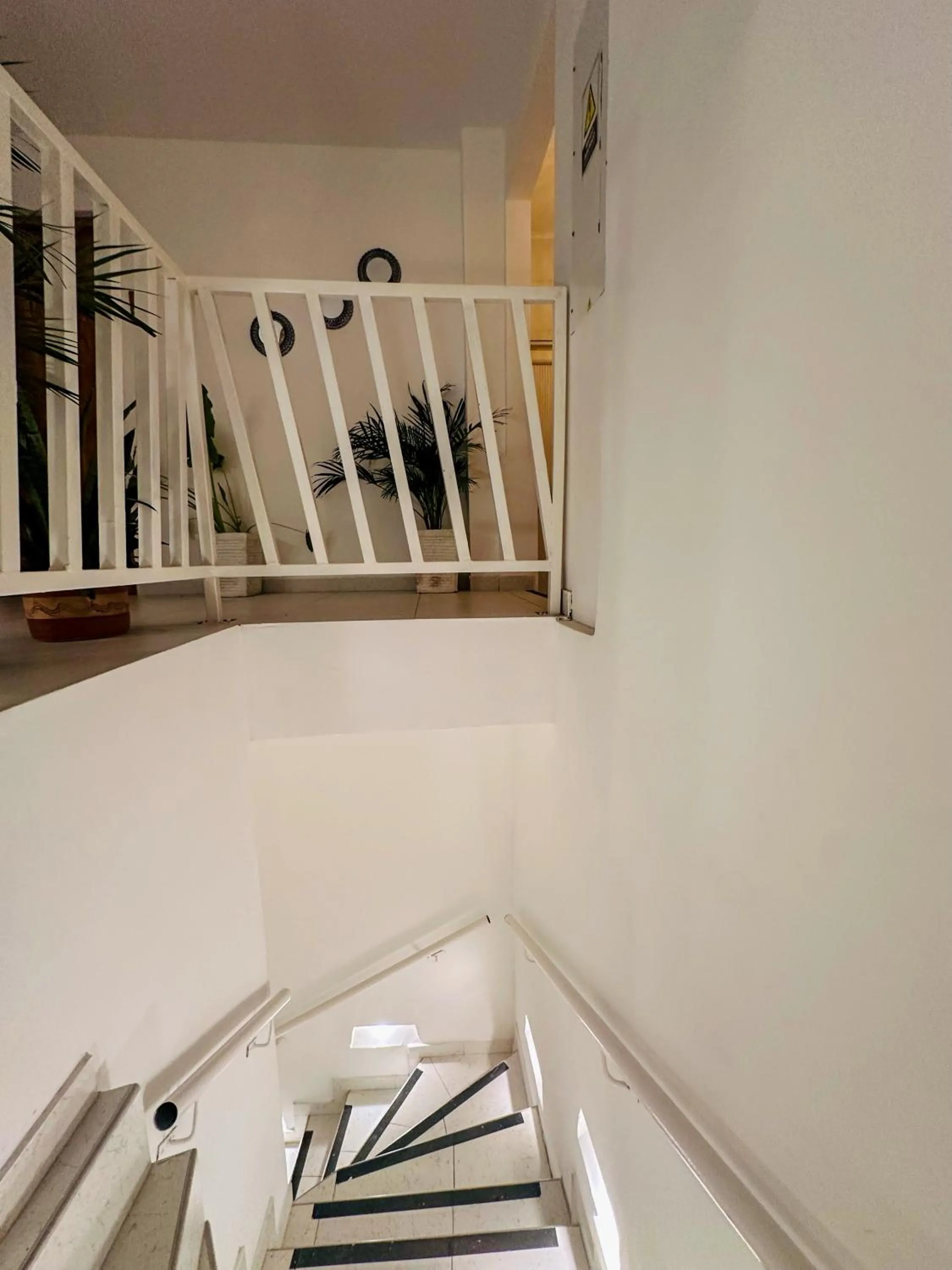 Area and facilities in Hostal Casa Torres Centro Historico - Adults Only