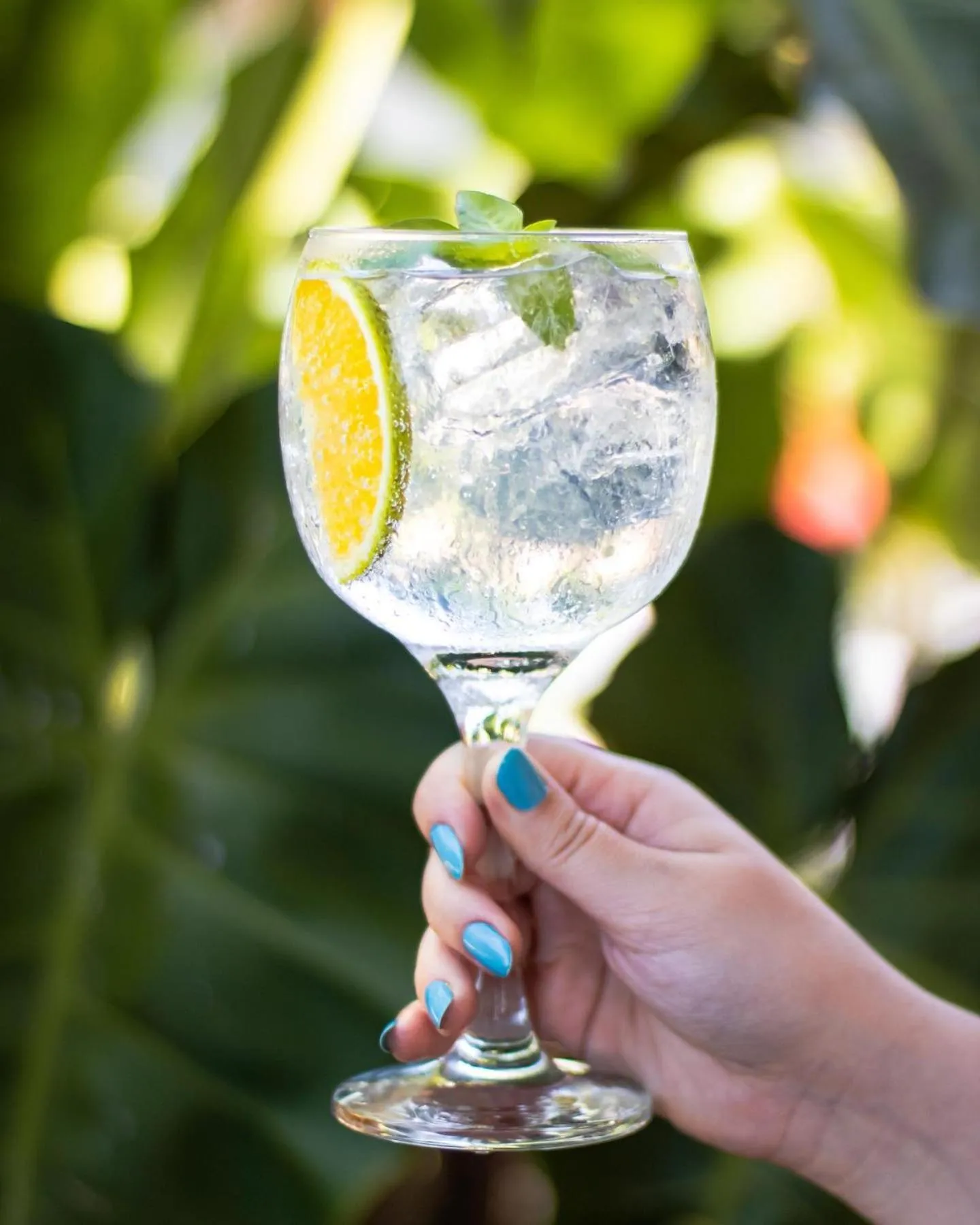 Pousada Estrela Peroba