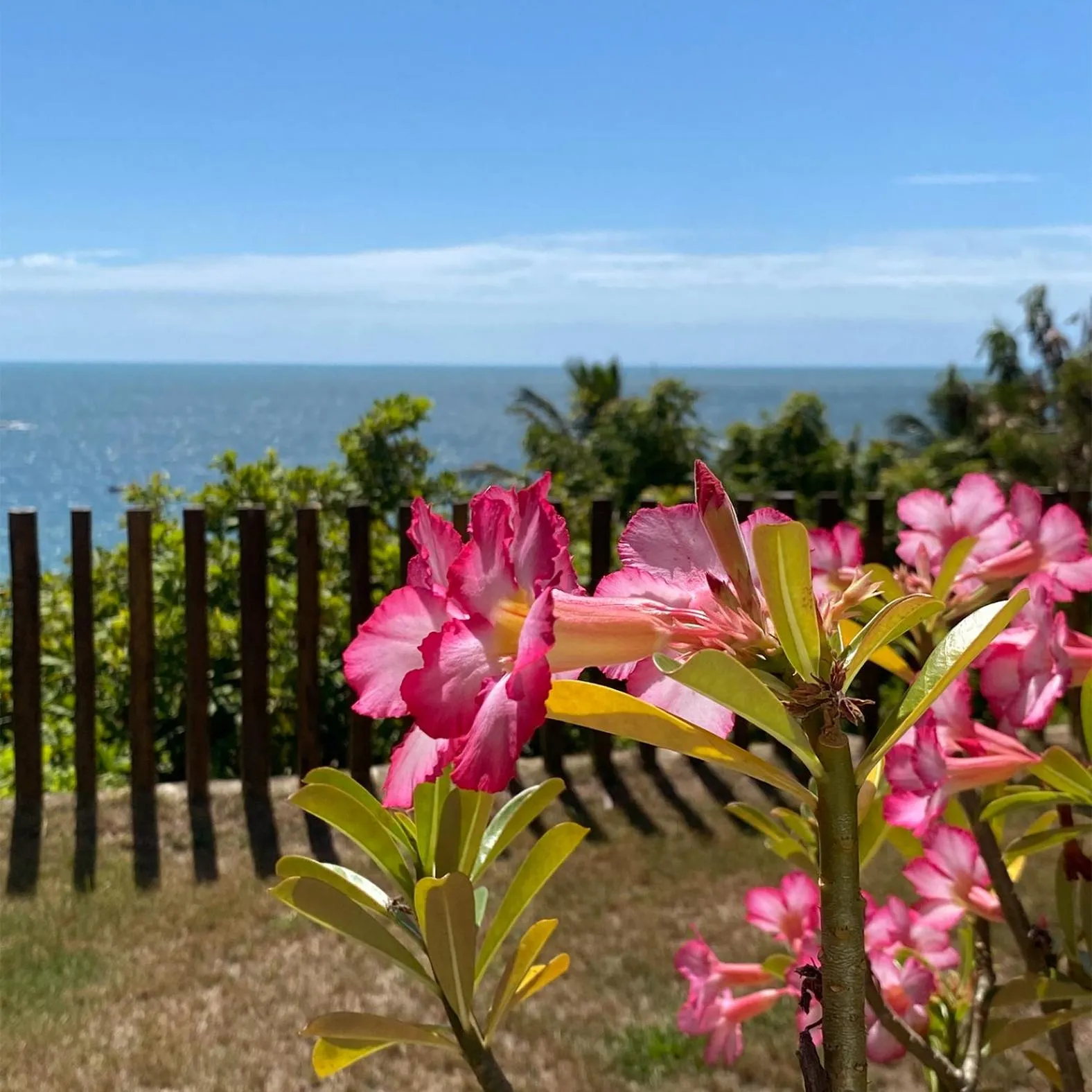 Pousada Estrela Peroba