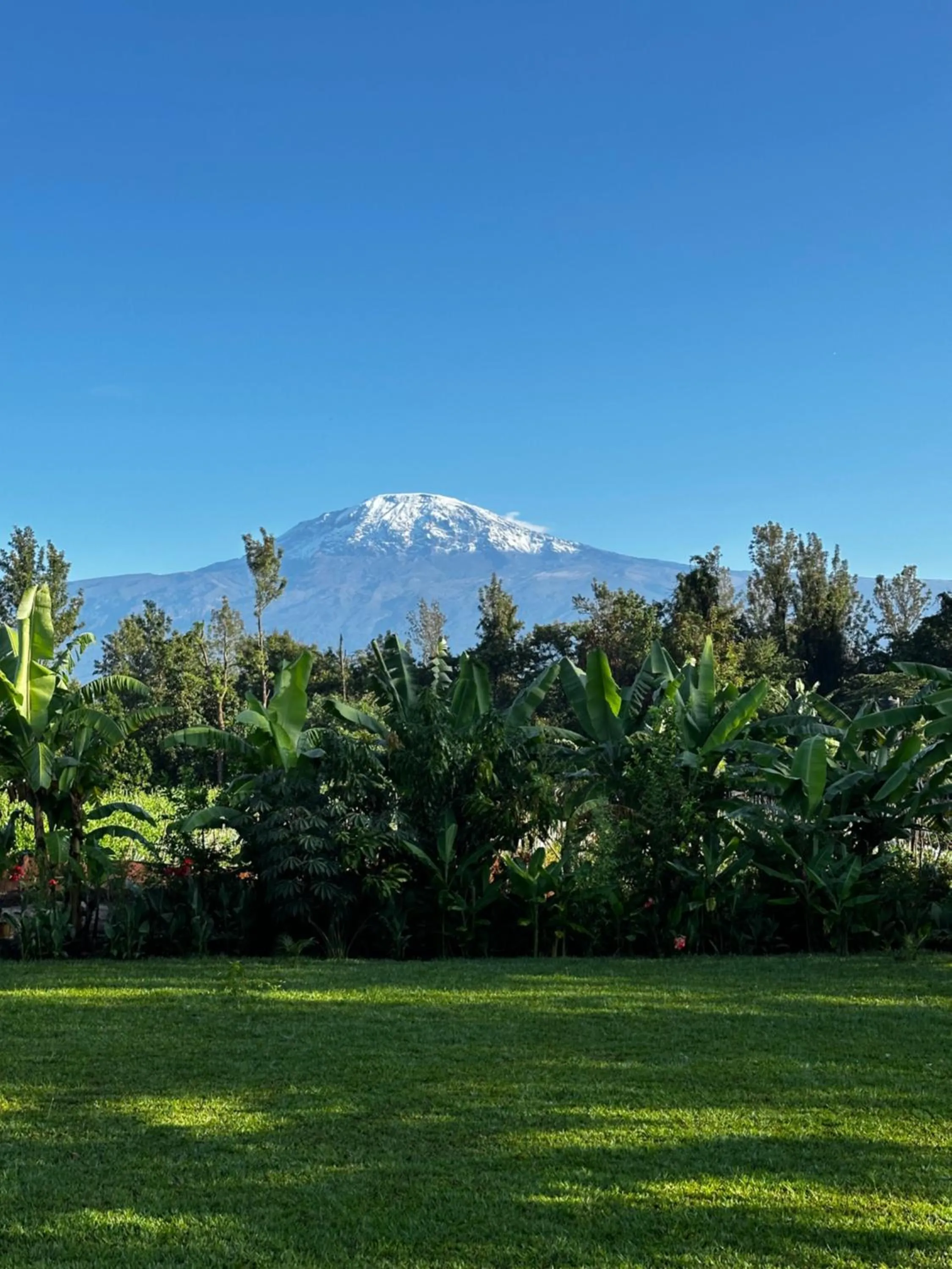Mountain view in Shose Farmhouse Chalets & Campsite