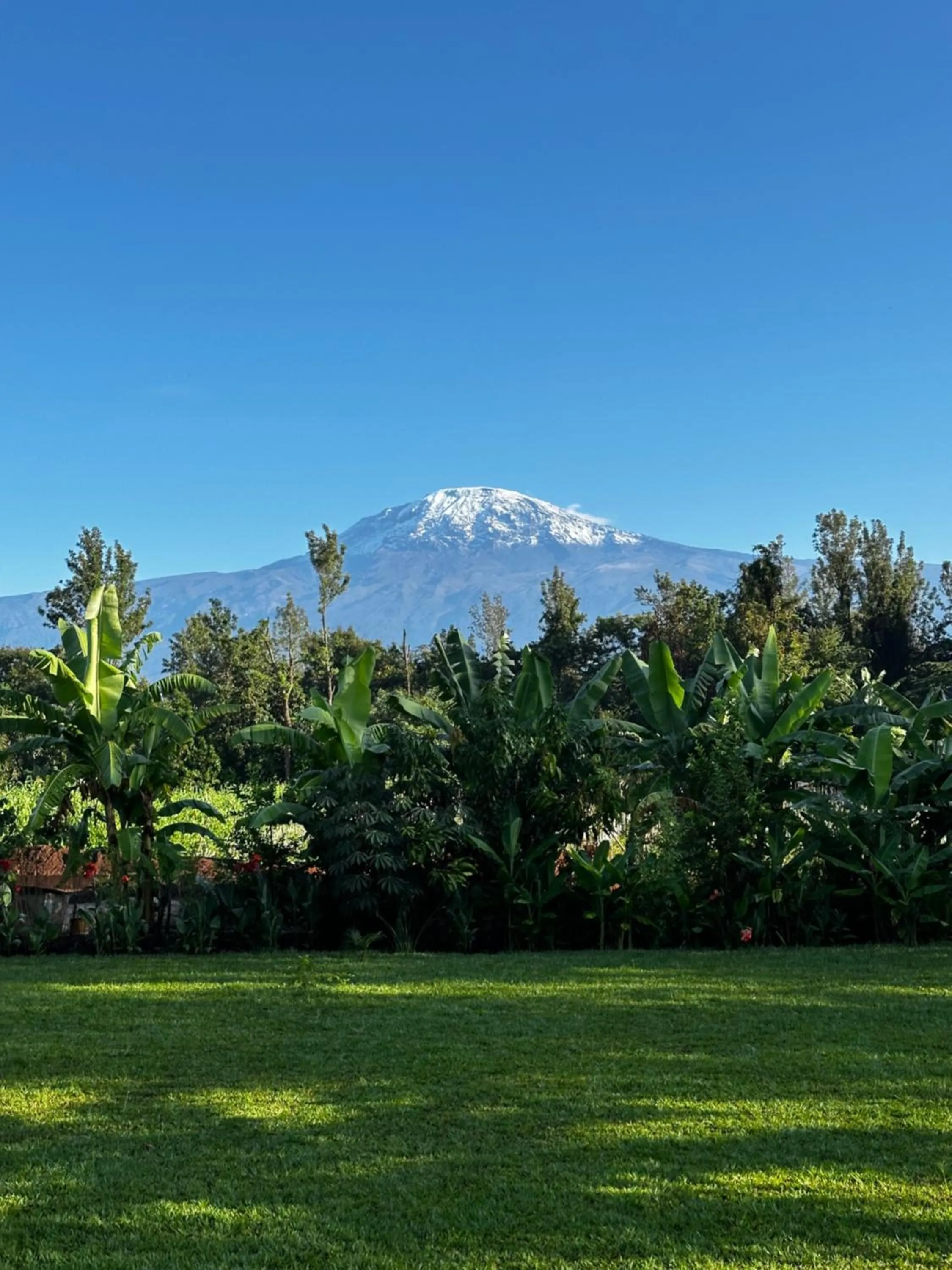 Mountain view in Shose Farmhouse Chalets & Campsite