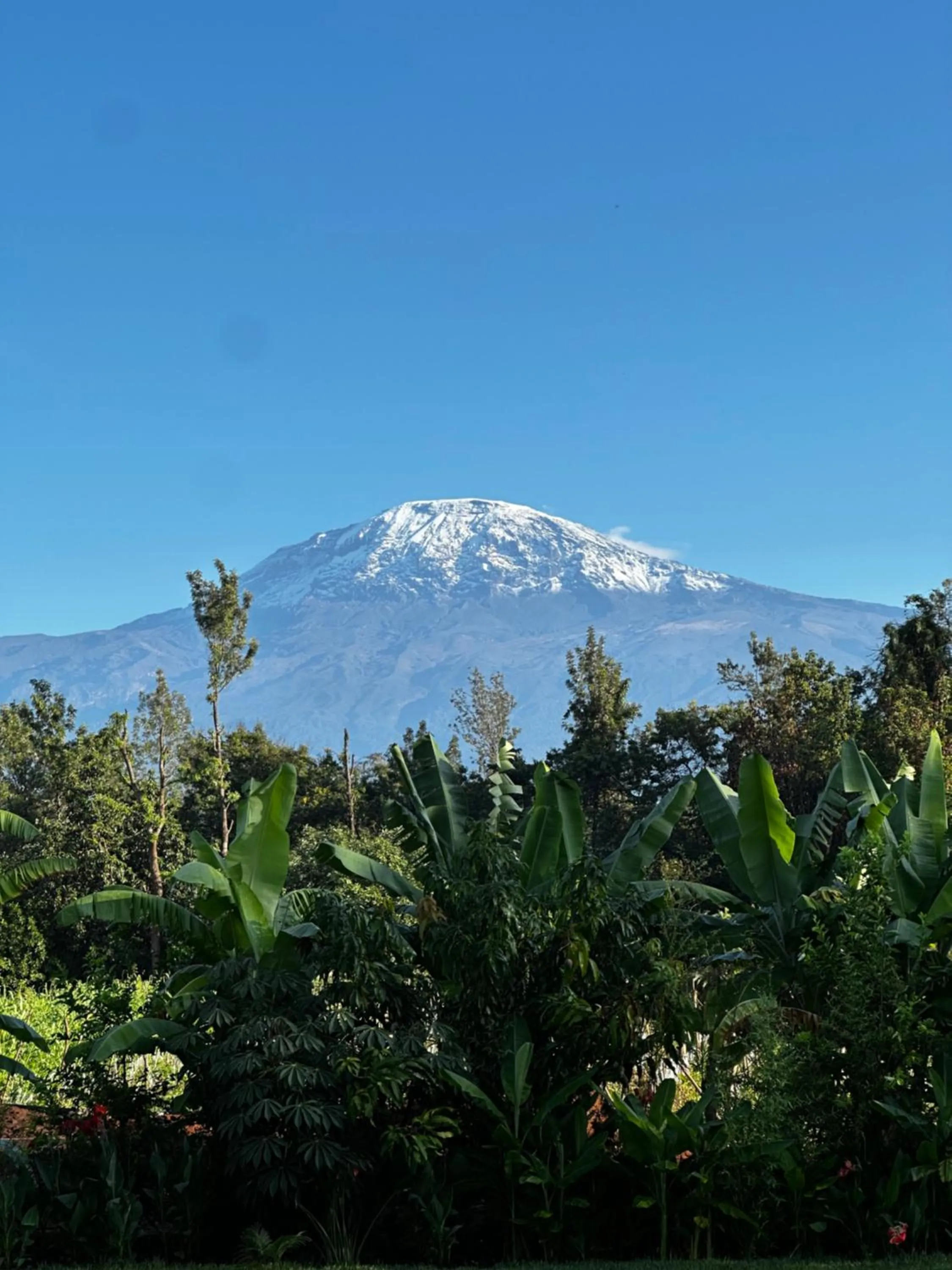 Mountain view in Shose Farmhouse Chalets & Campsite