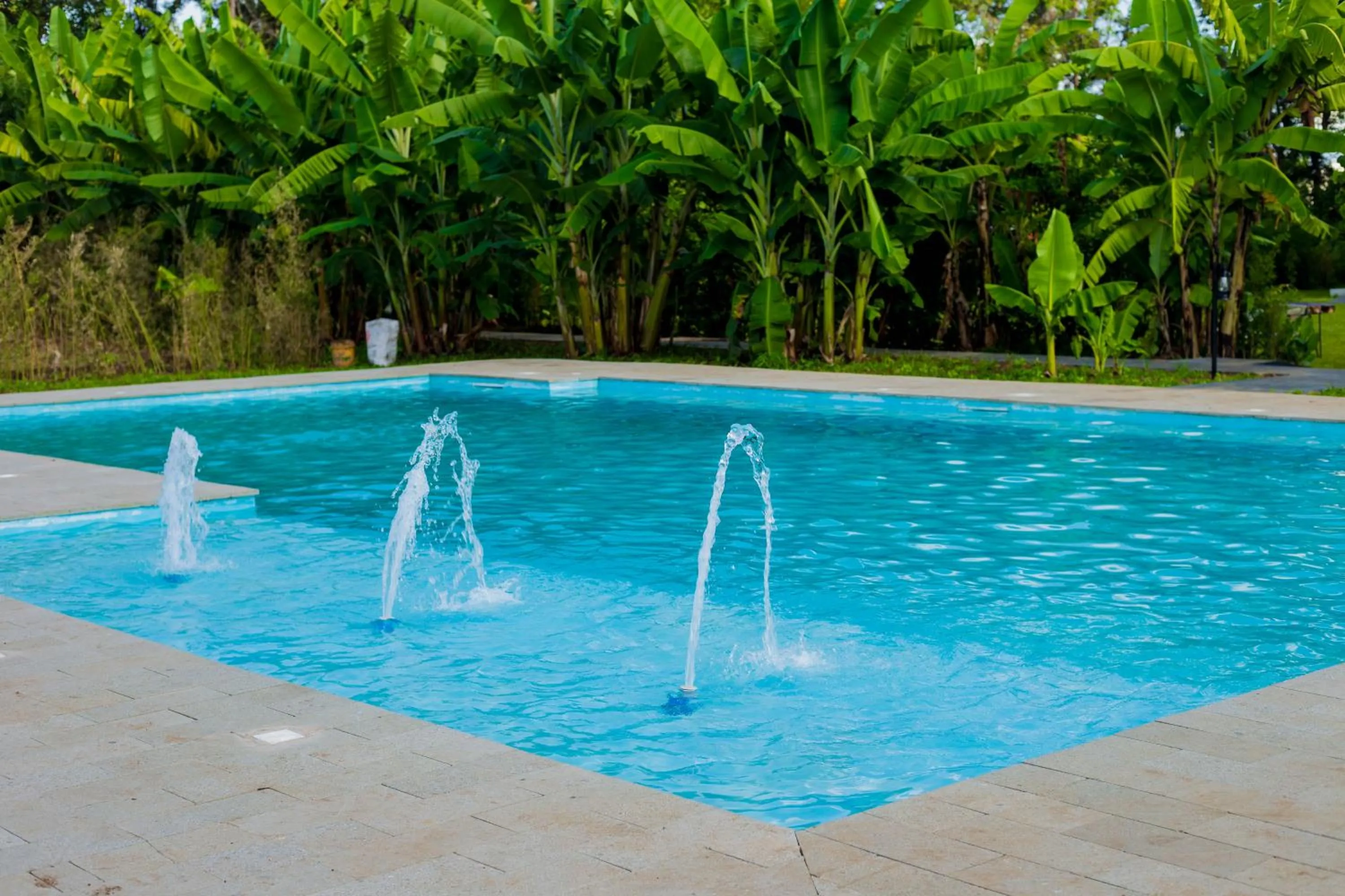 Swimming pool in Shose Farmhouse Chalets & Campsite