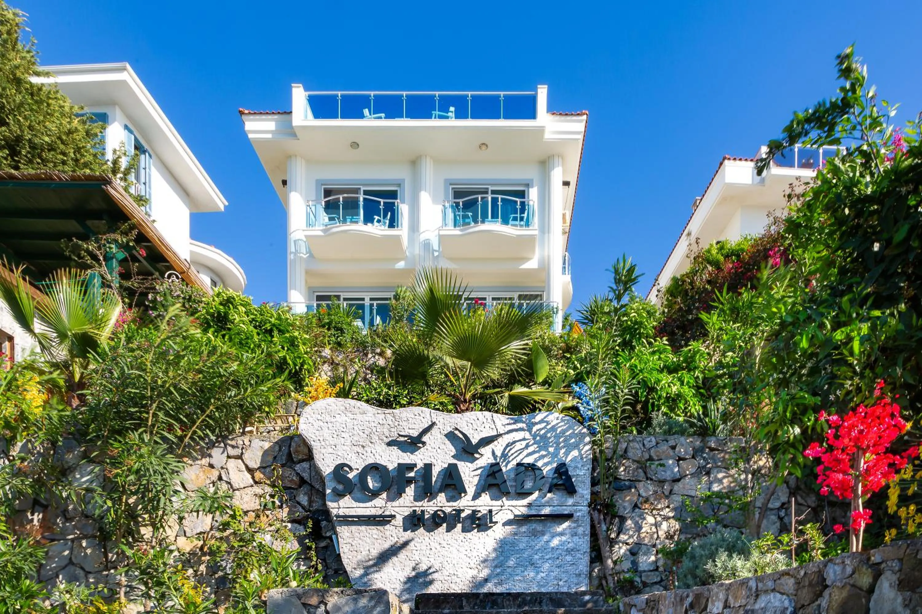 Property building in Sofia Ada