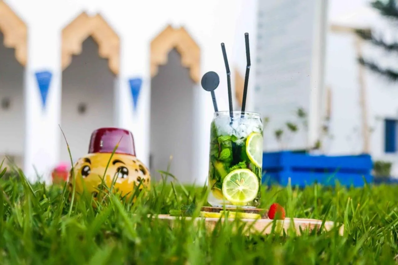 Garden in Hôtel La Perle de Mogador