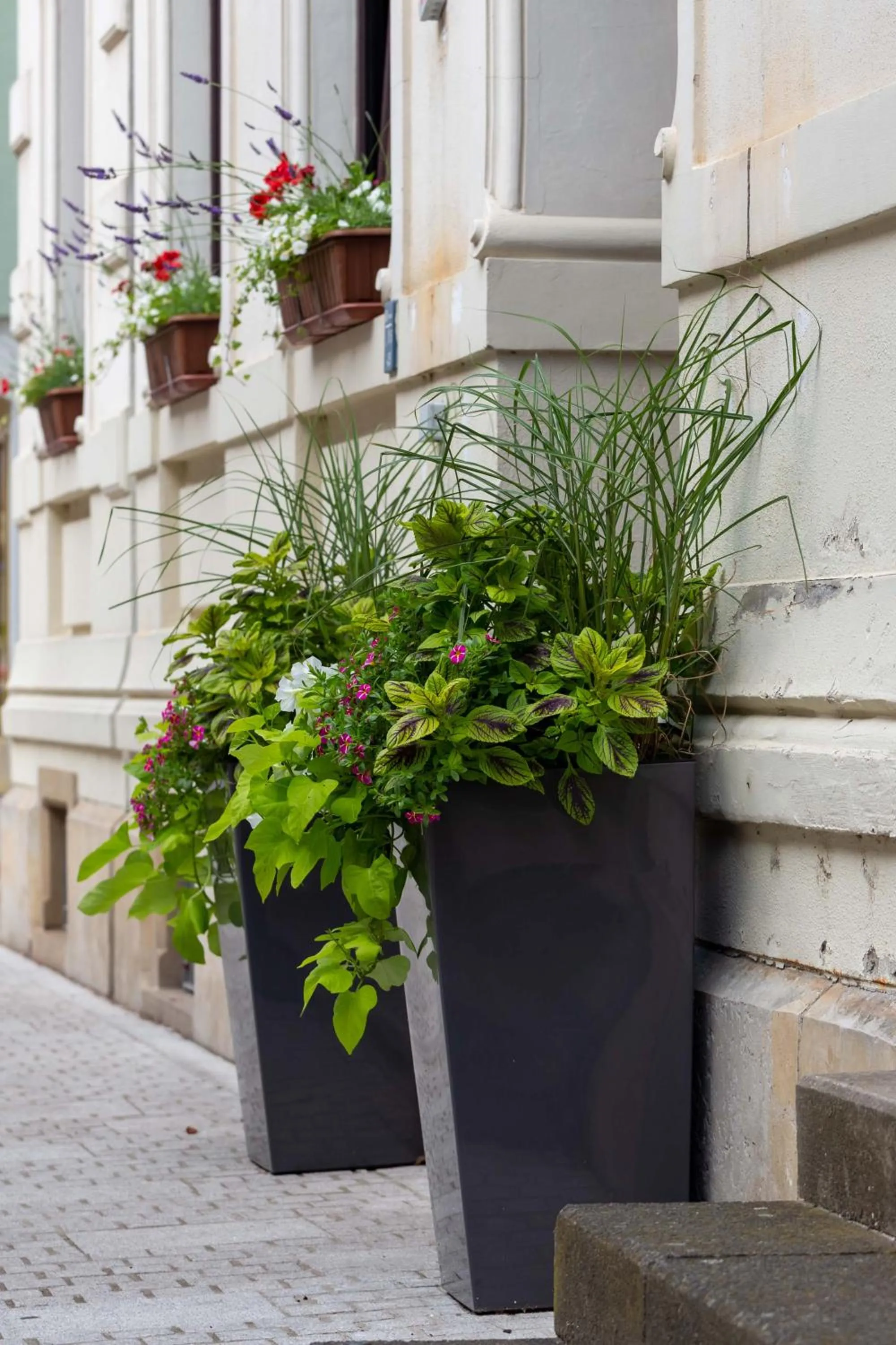 Street view in Hotel Mauritius - Im Herzen von Crimmitschau - Frühstück buchbar - Restaurant - Café - Fahrradbox