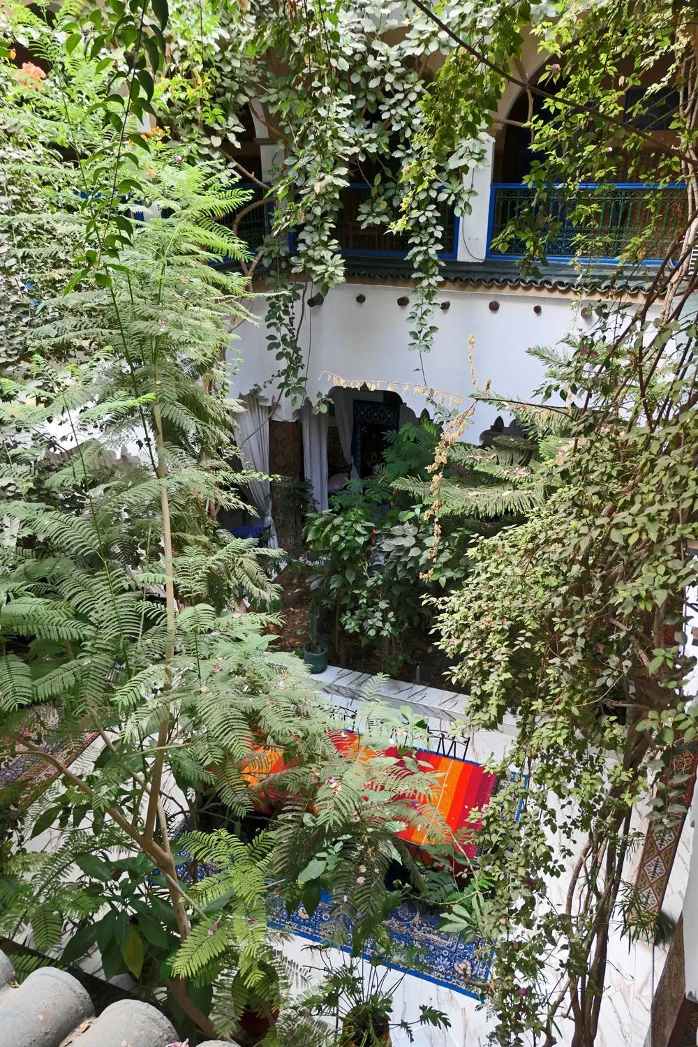 Garden view in Riad Maryam Taroudant